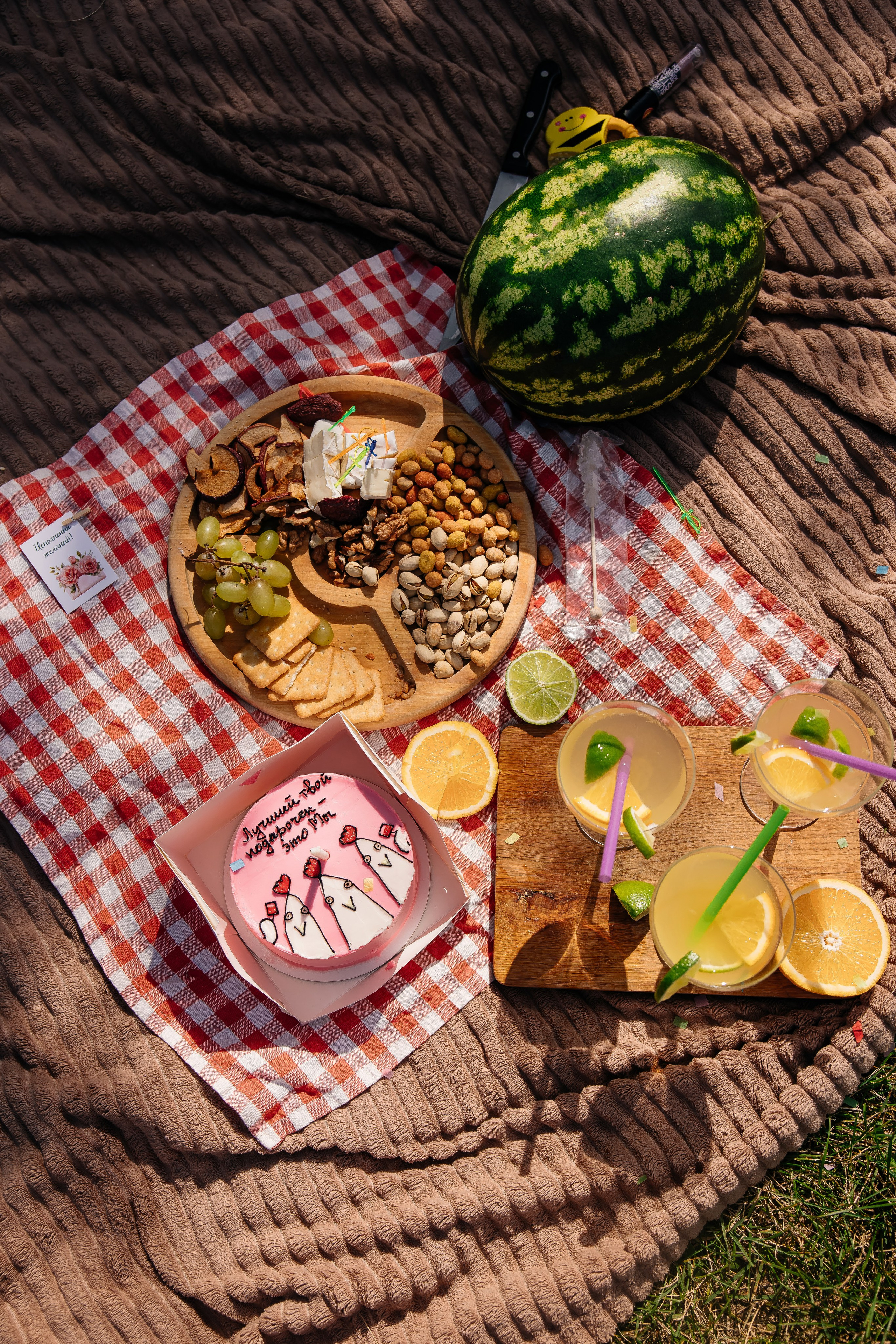 Пикник на День Рождения. Фотограф ВИКА МЕДУЗА