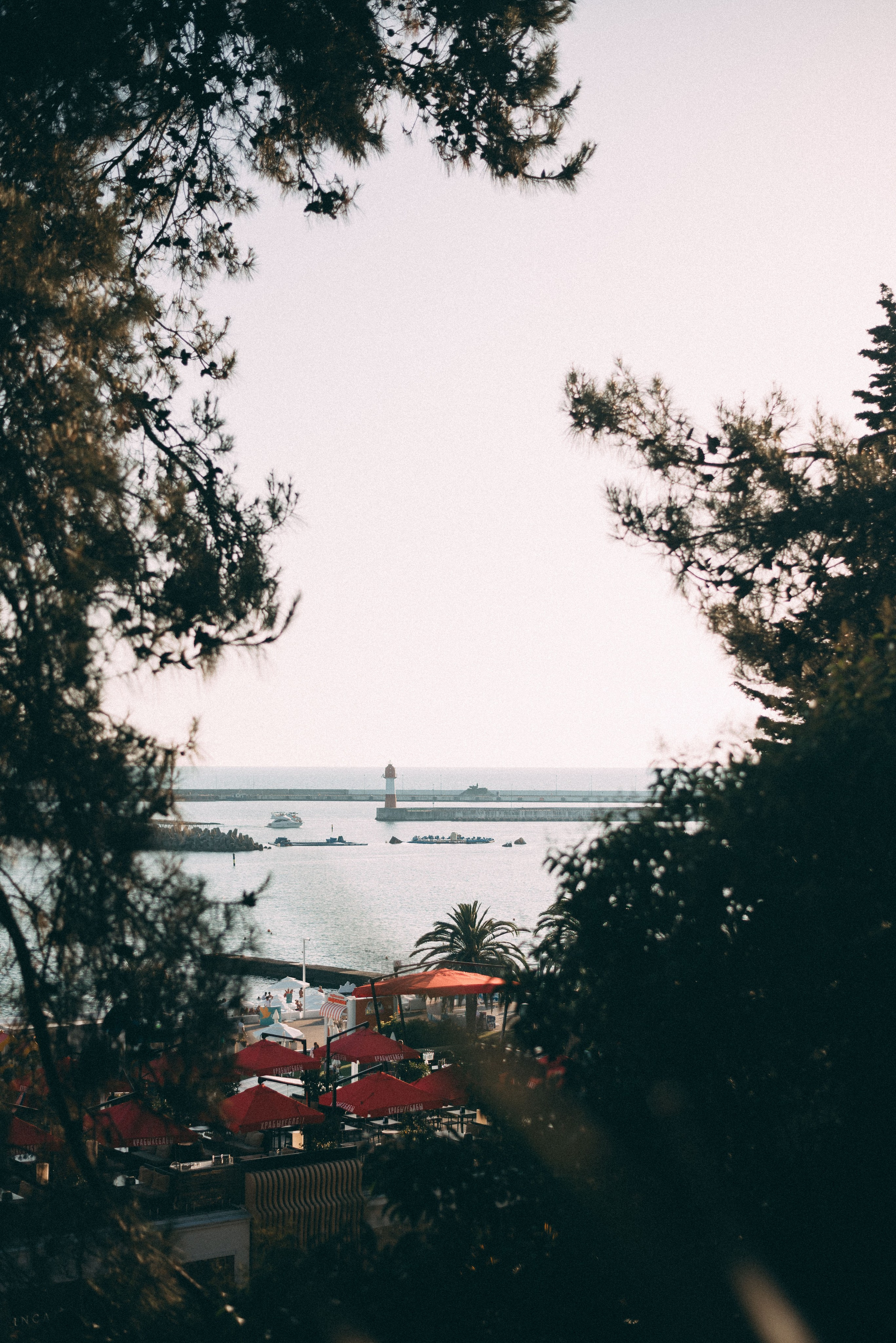 Семейная фотосессия в Сочи Морпорт. Фотограф в Сочи — Маргарита Поганова