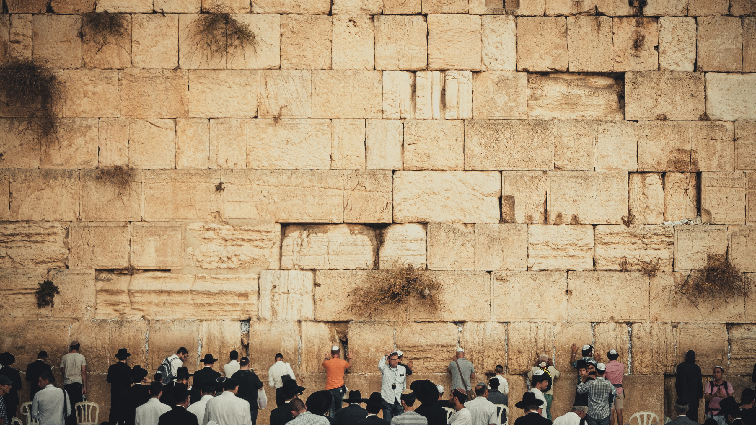 Израиль. Свадебный фотограф Копков Геннадий