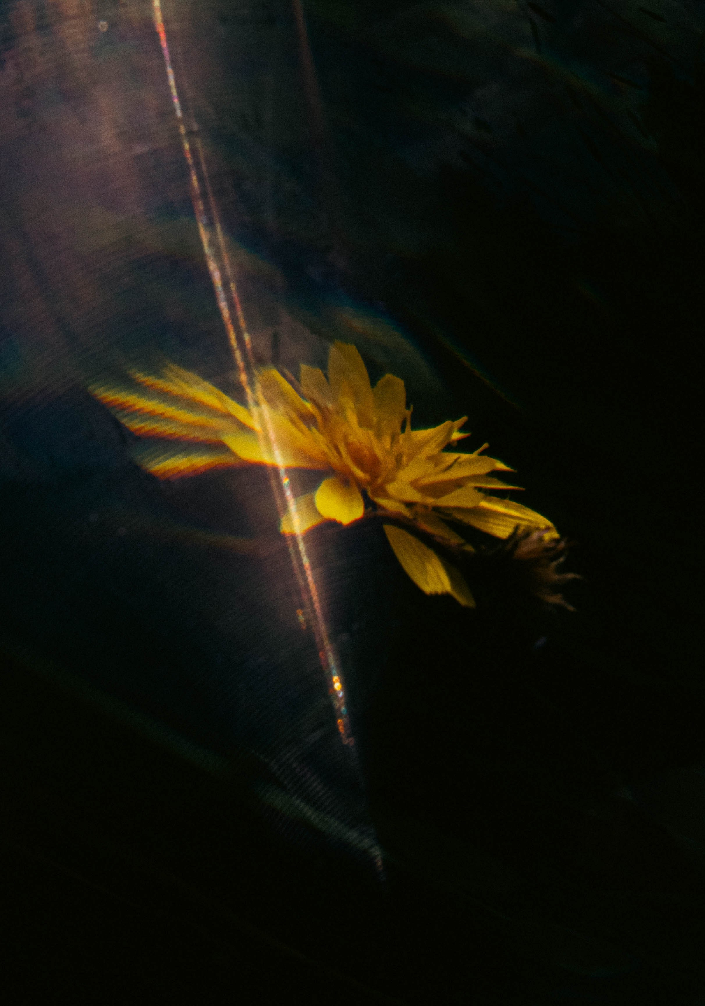 Курс «БОЛЬШОЙ И ГРОМКИЙ!». Университет по фотографии Игоря Мальцева