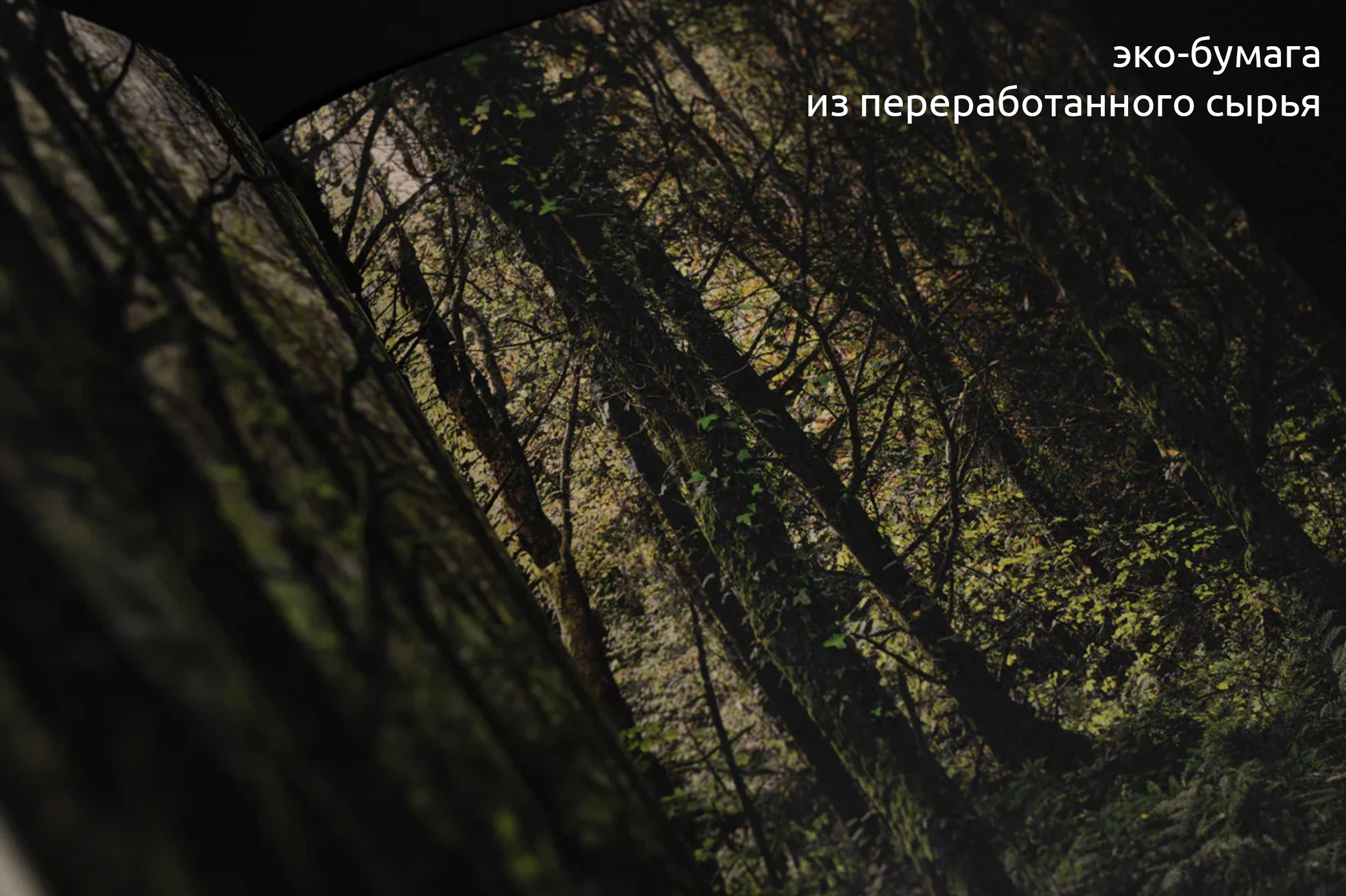 Понедельник 1. Вначале ничего не было…. …