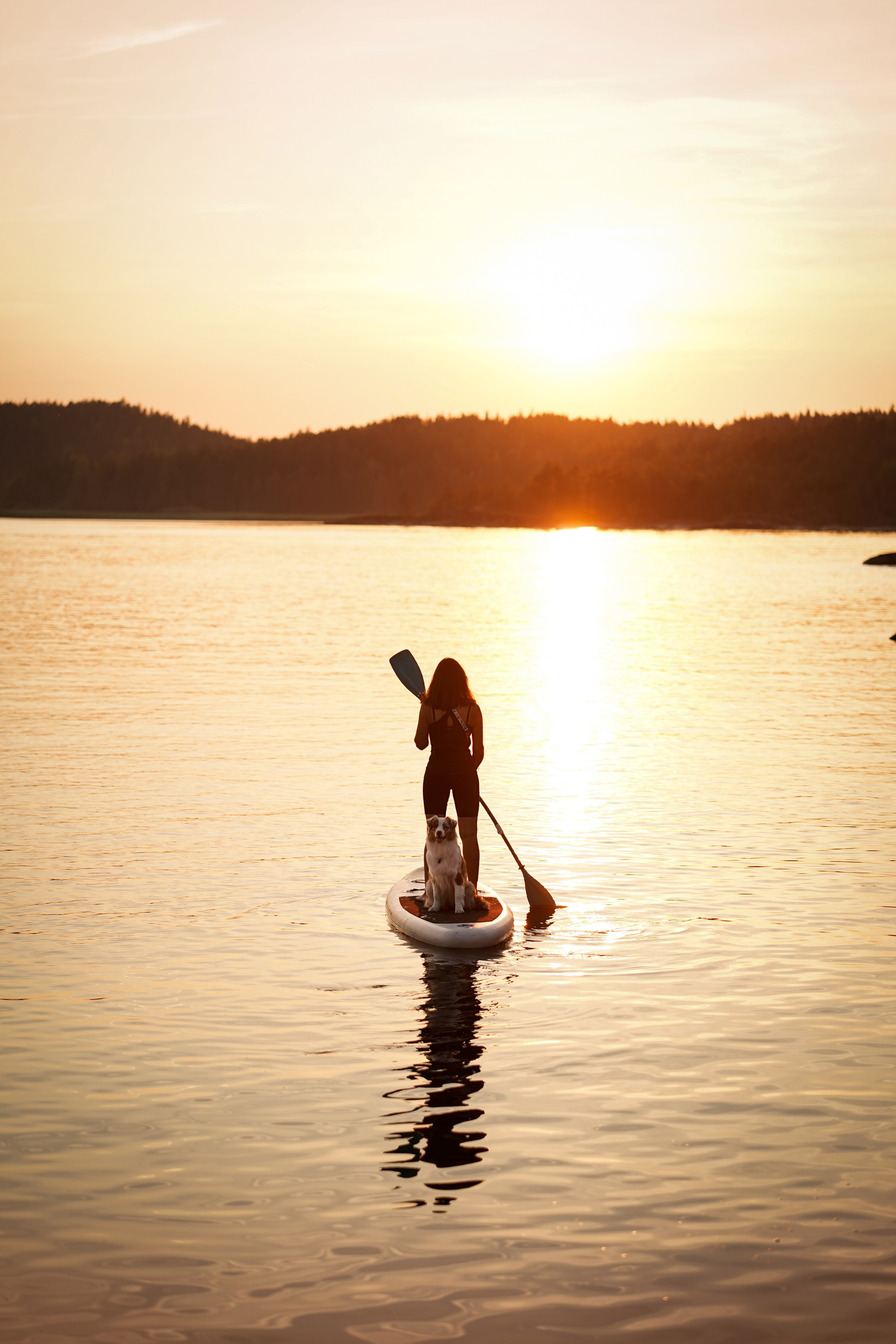 Панда SUP. Фотограф-анималист в Санкт-Петербурге Яна Мартынова