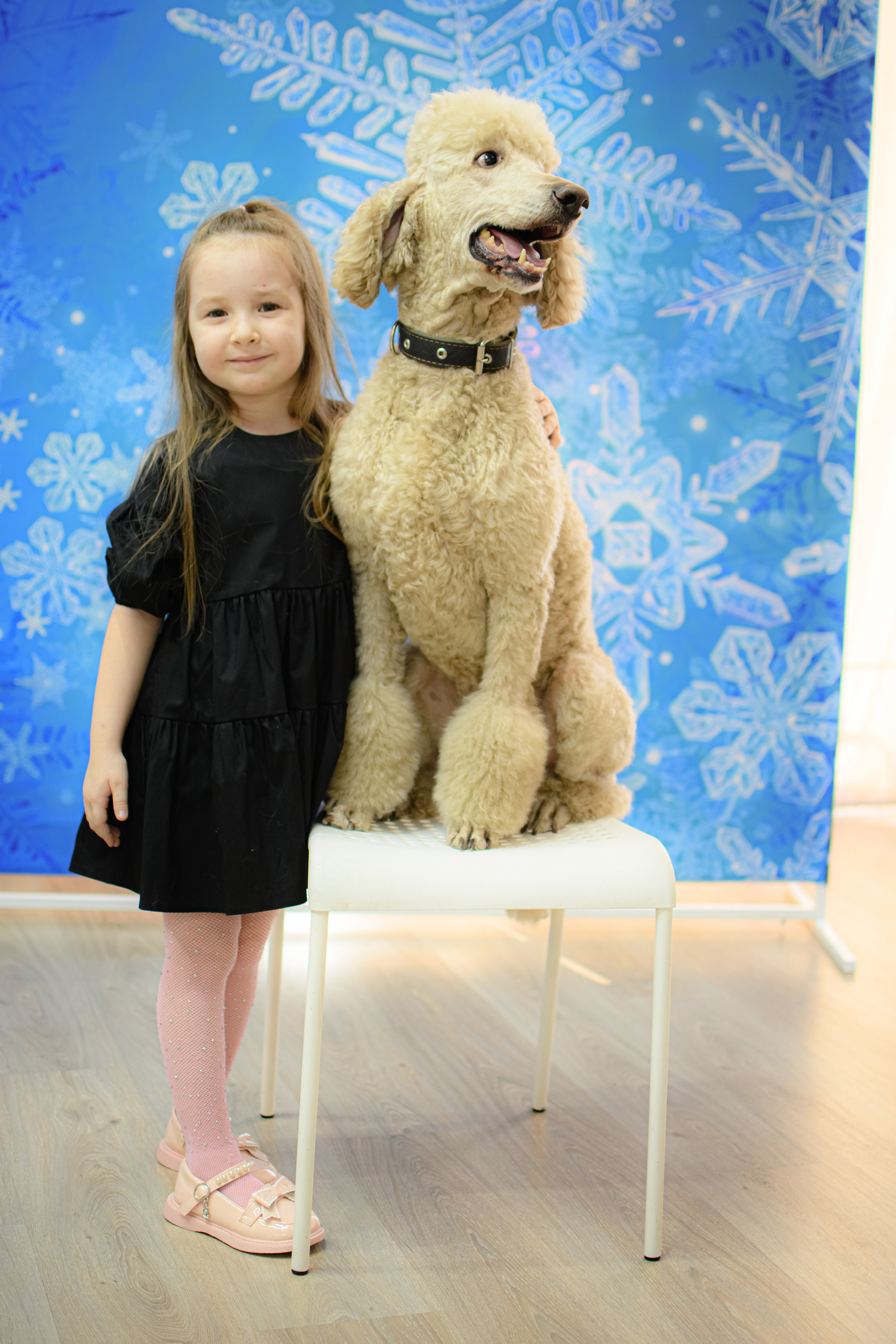 HAPPY NEW YEAR. Photokarish