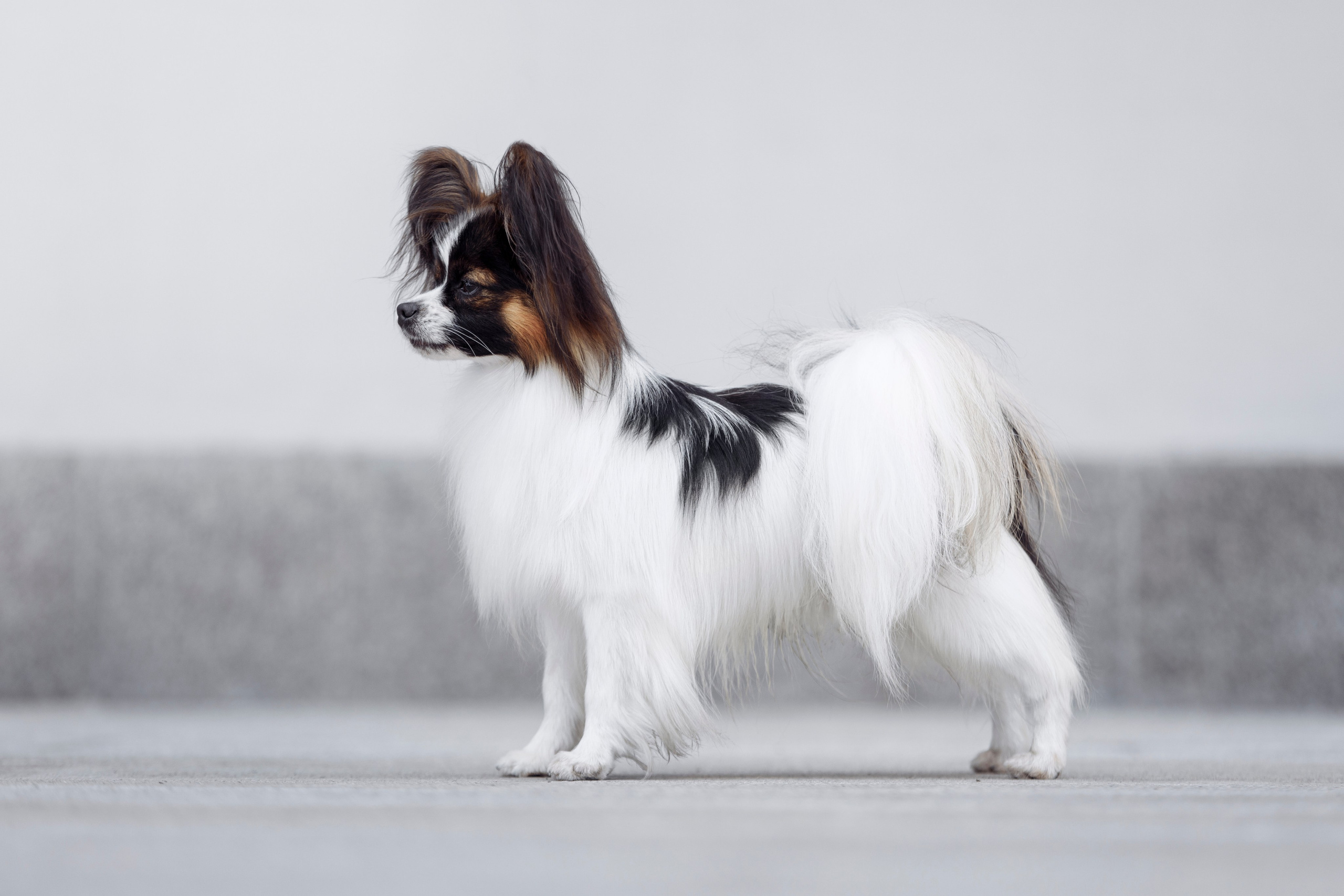 Магнитка 22. О нас