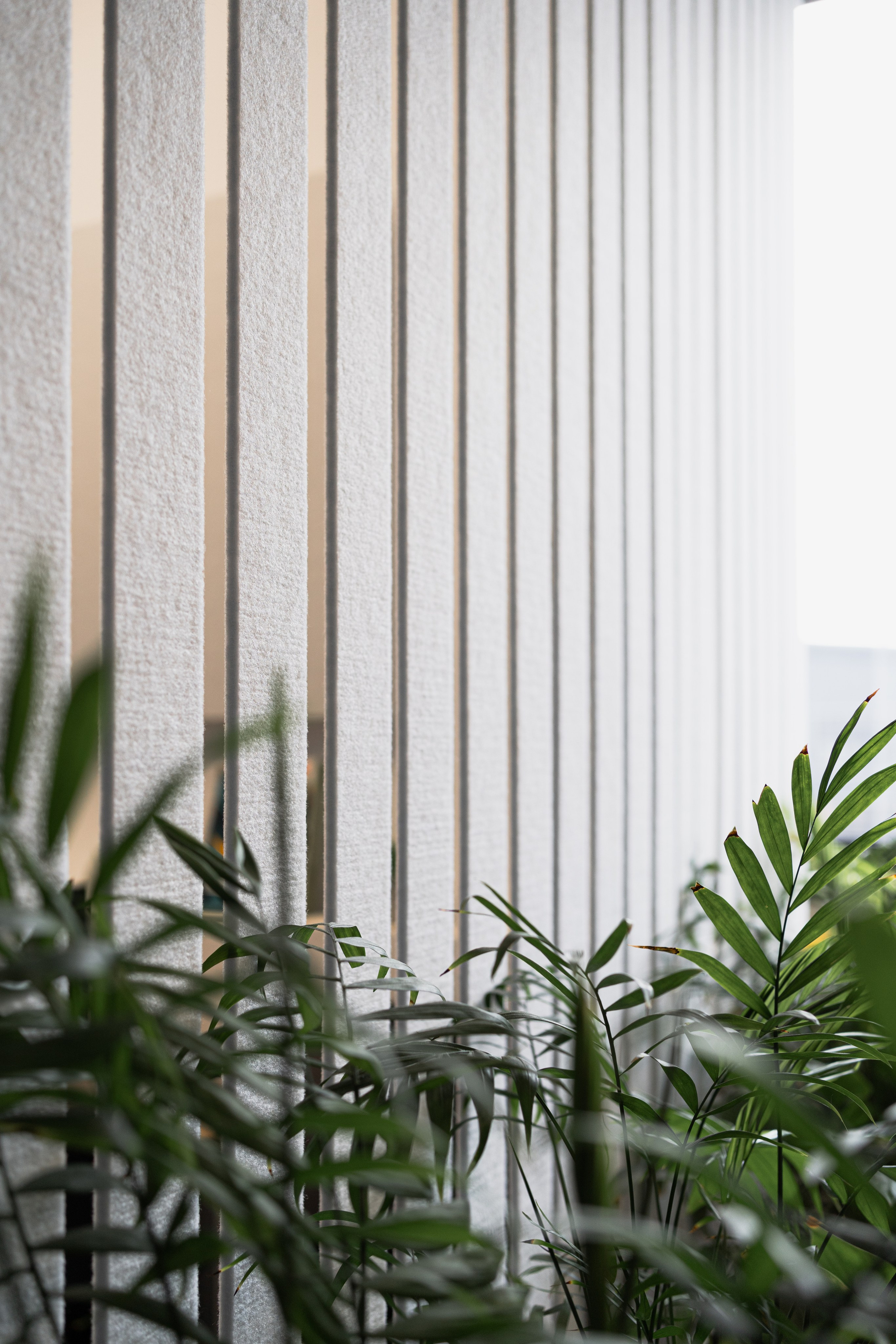 Terra. Елена Пашкевич, фотограф, Москва