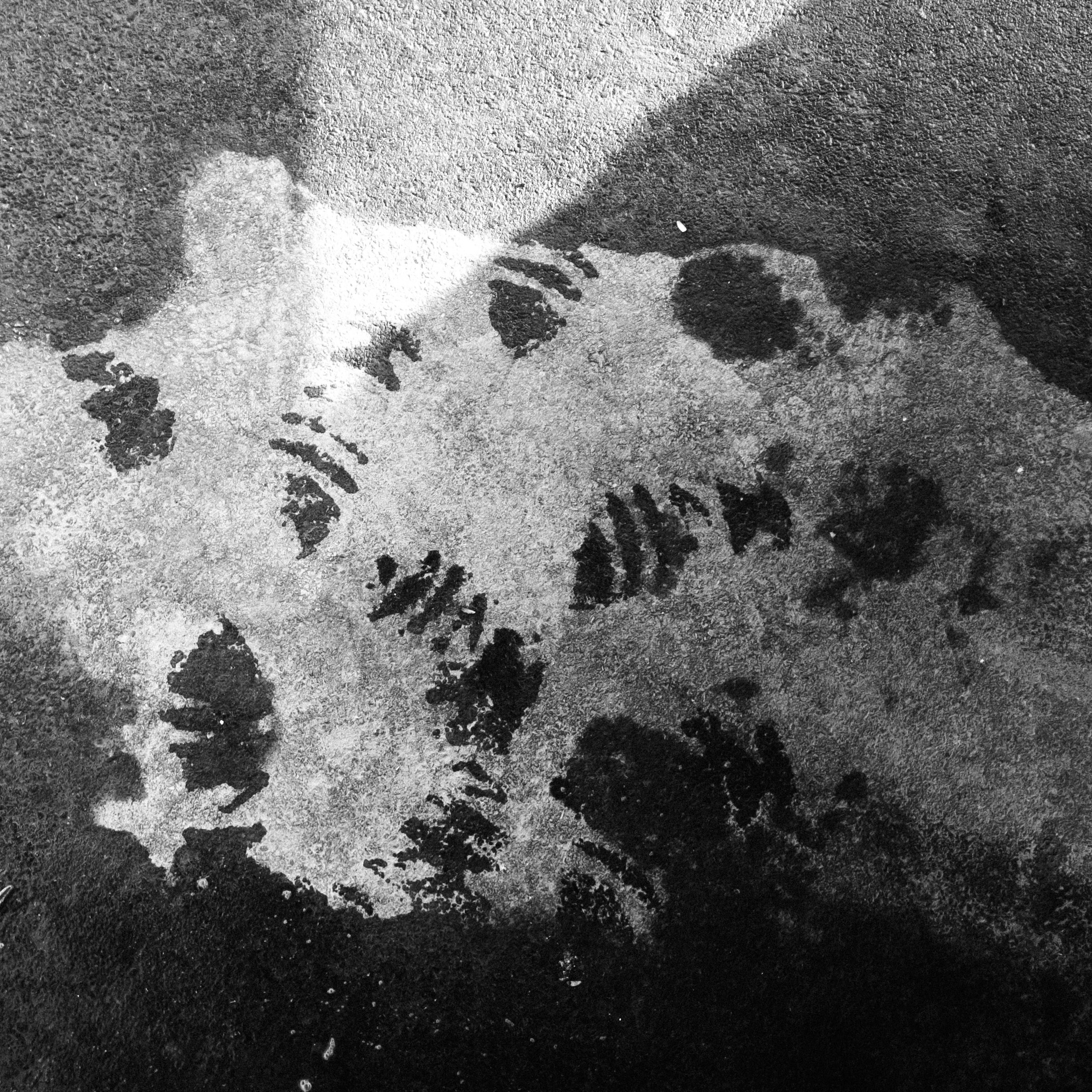 Фоточеллендж «30 дней — 30 фото». Олег Романов. Мастер фото по спорту