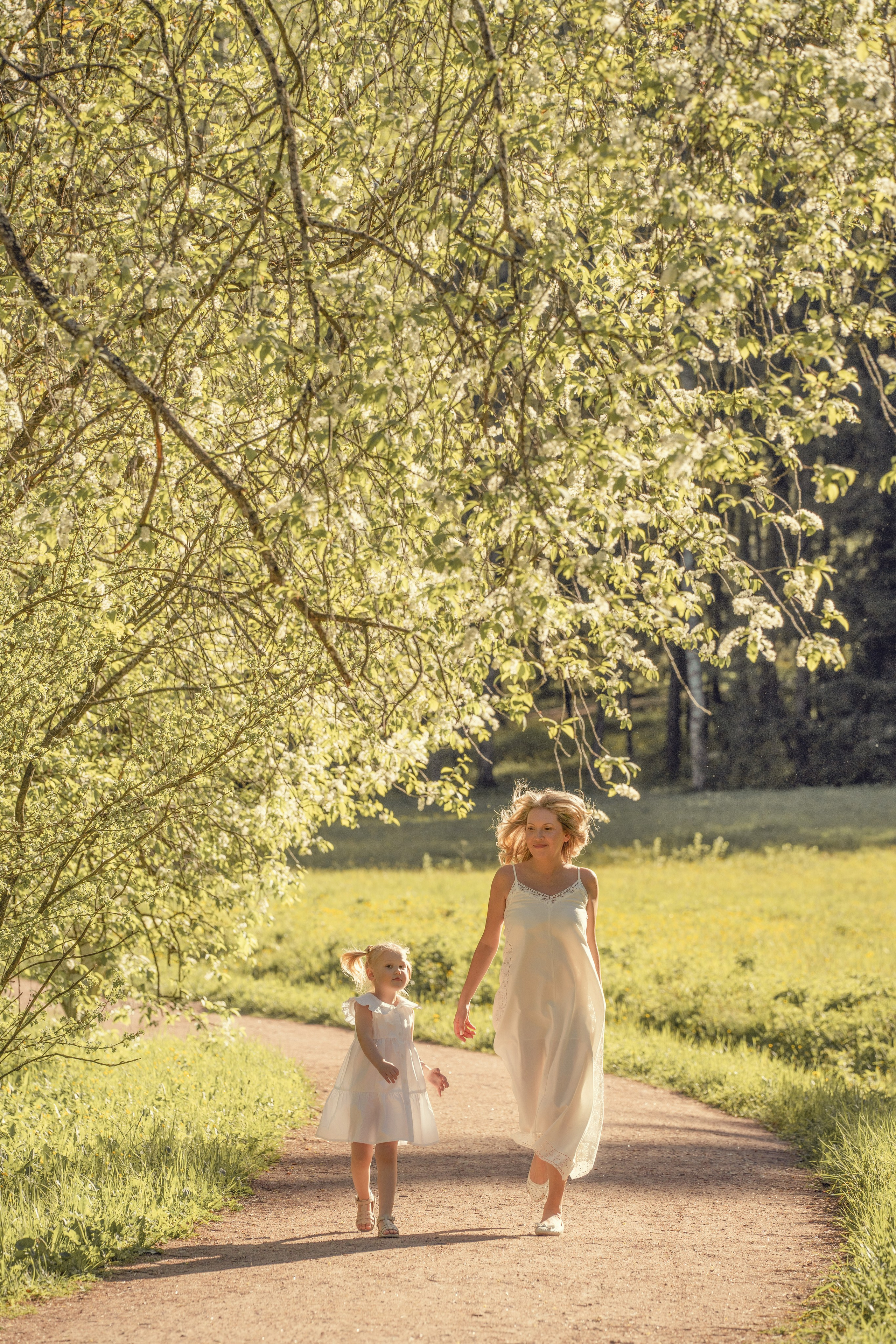 Фотопрогулка в Павловском парке