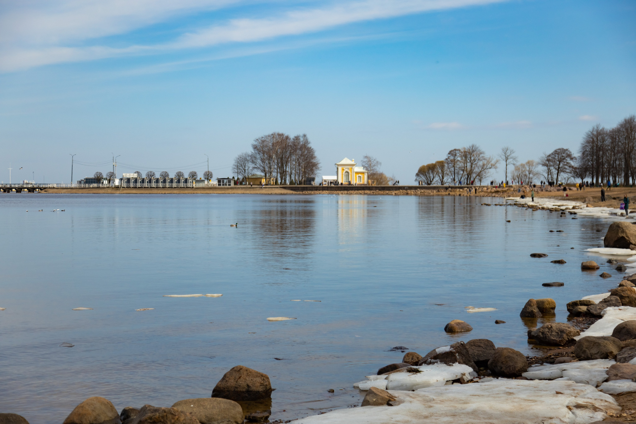 Петергоф нижний парк фото