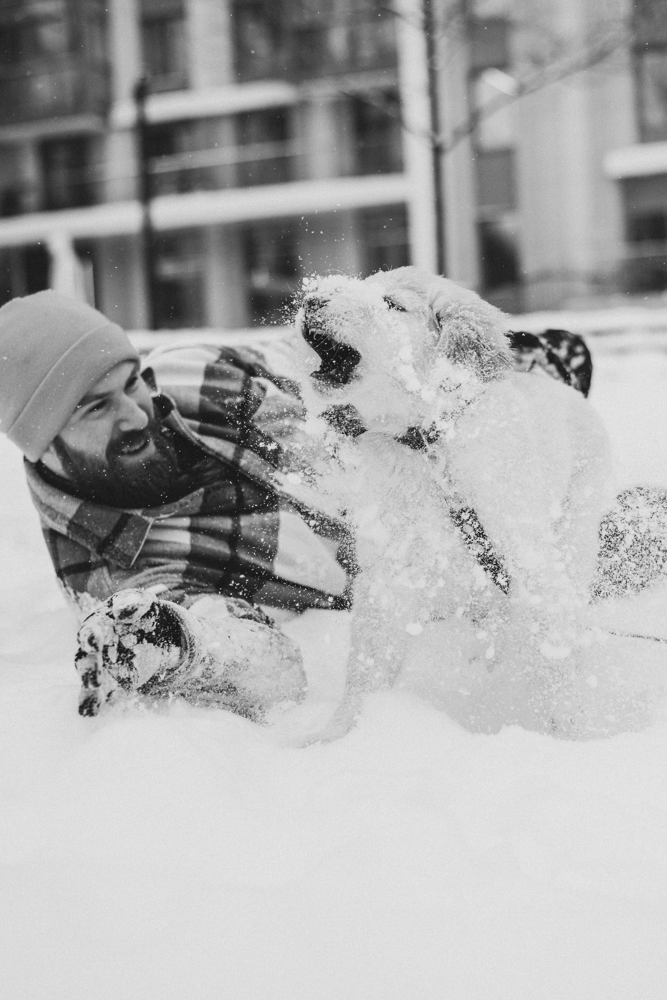 Sonia, Denis & Baggi. Natalia Finch Photography — Family, Kids & Pet Photographer in Chicago, IL