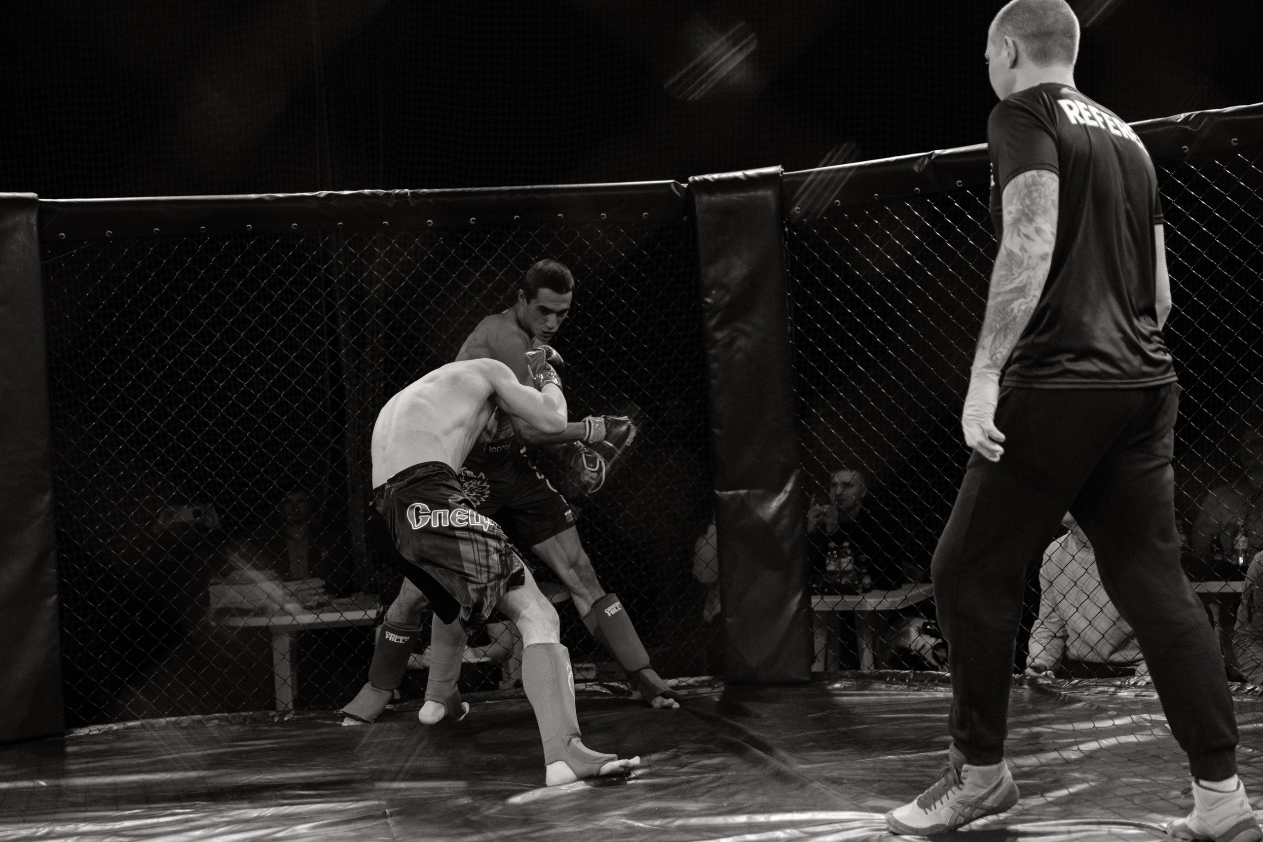 Турнир по ММА «Освобождение» 2023 г. Истра. Свадебный фотограф Фадеева Алёна