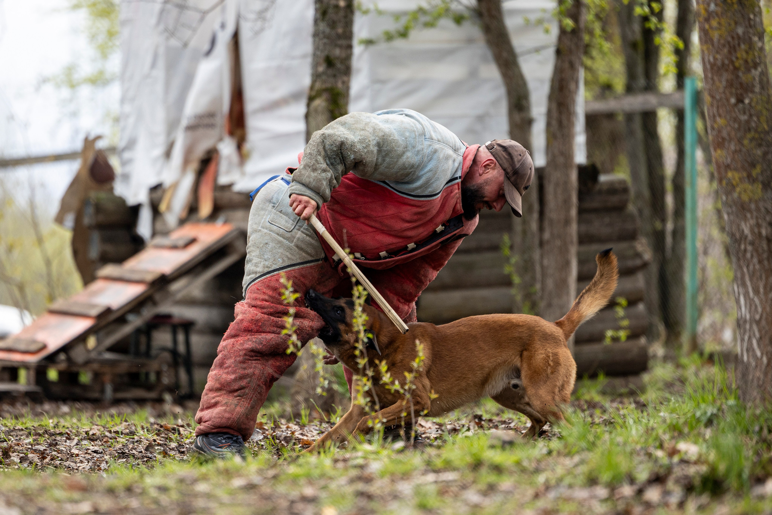 Квалификационные состязания по мондьорингу г. Вологда 11.05.24. Фотограф-анималист Анна Маринич
