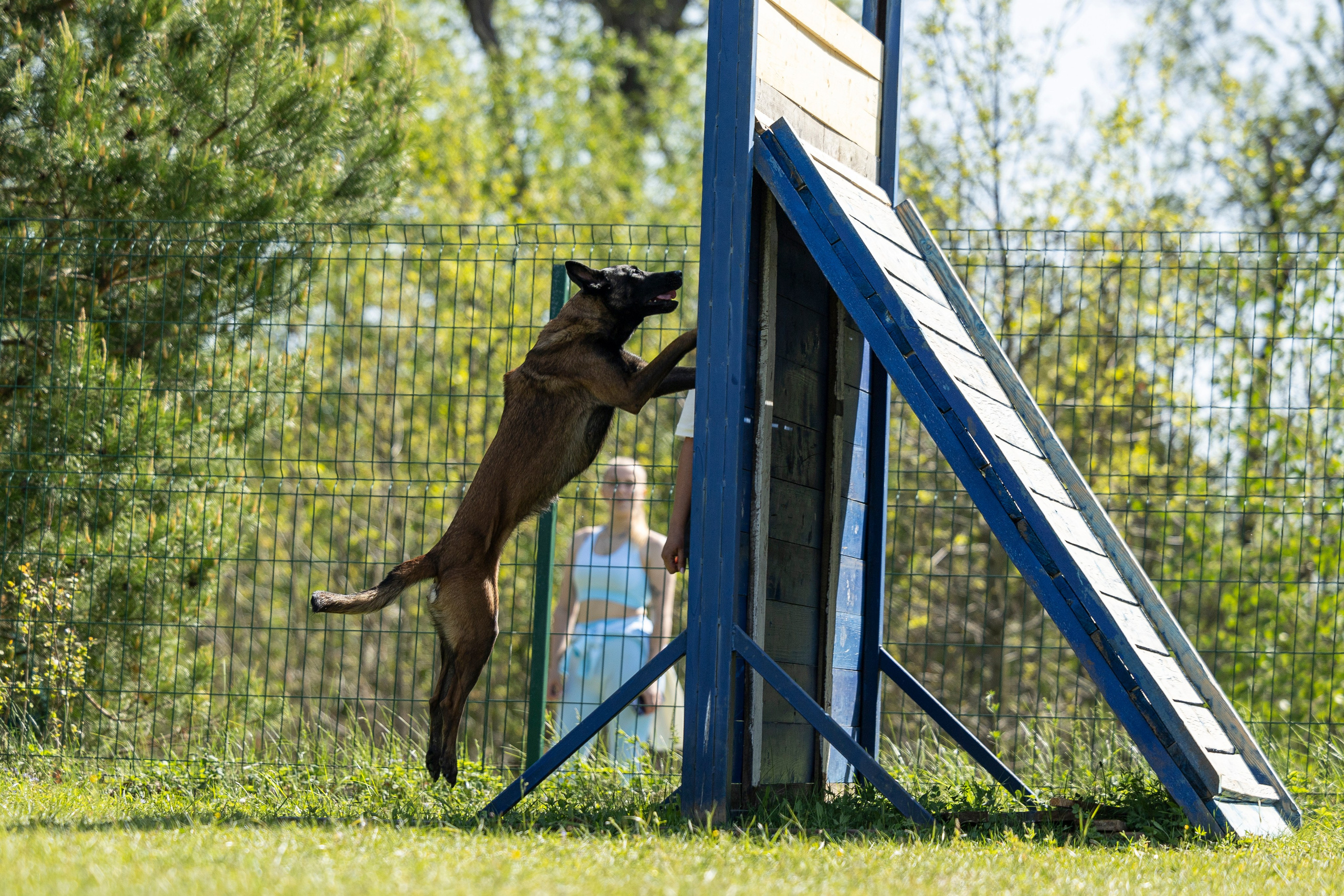 Испытания по мондьорингу в Нижнем Новгороде. Фотограф-анималист Анна Маринич