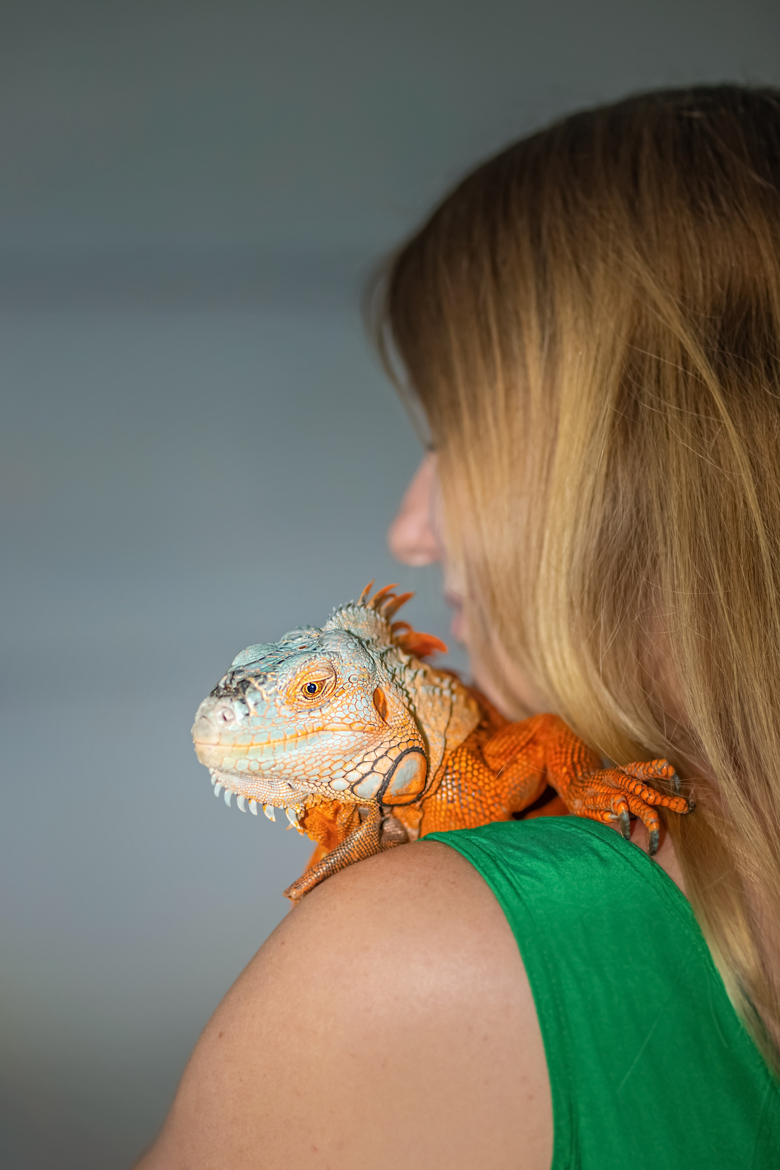 Фотосессии с ЖИВОТНЫМИ. Фотограф Алина Лебедь