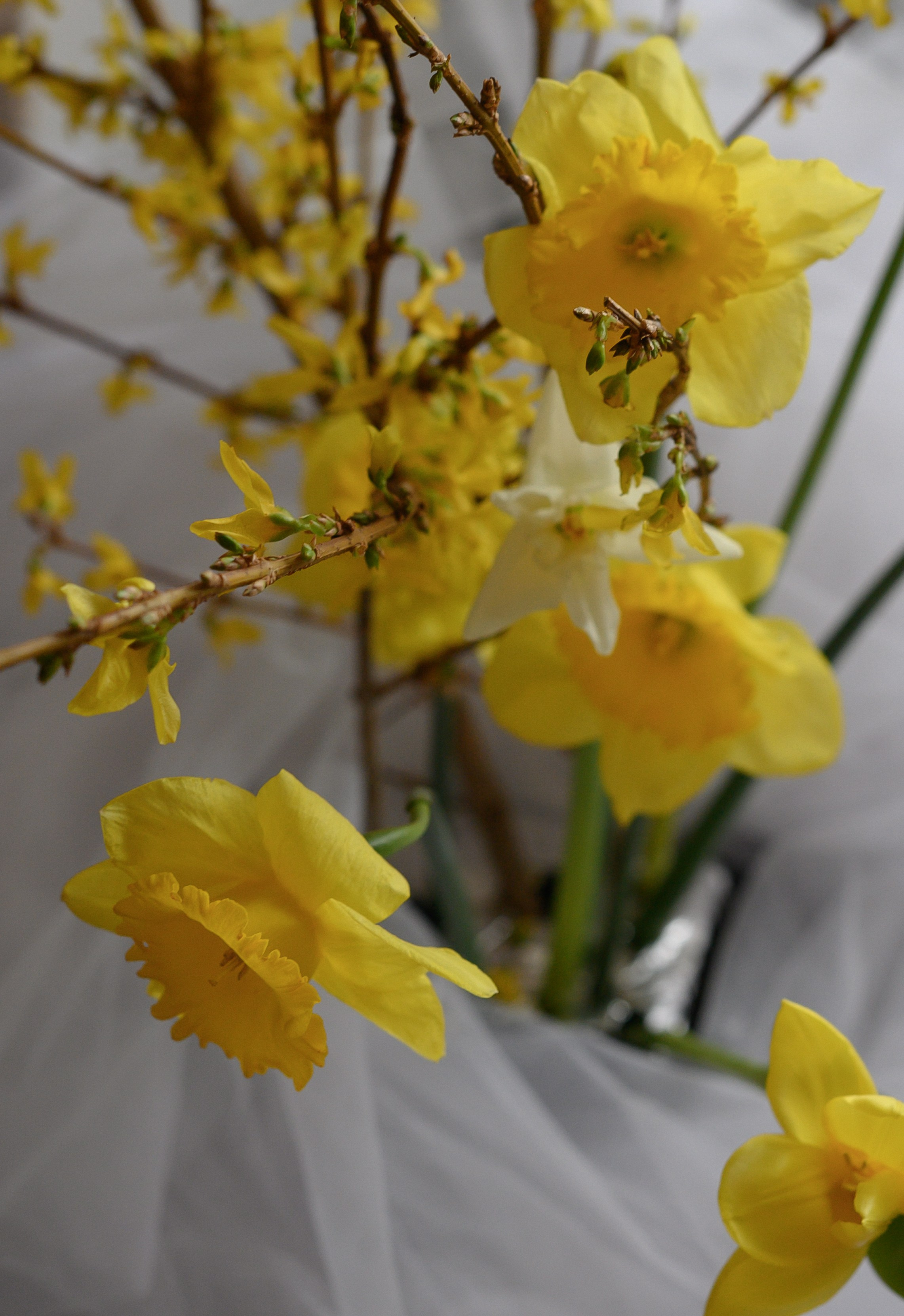 Питерский свадебный ужин и крыши…). Свадебный фотограф Тюмень Анастасия Битная