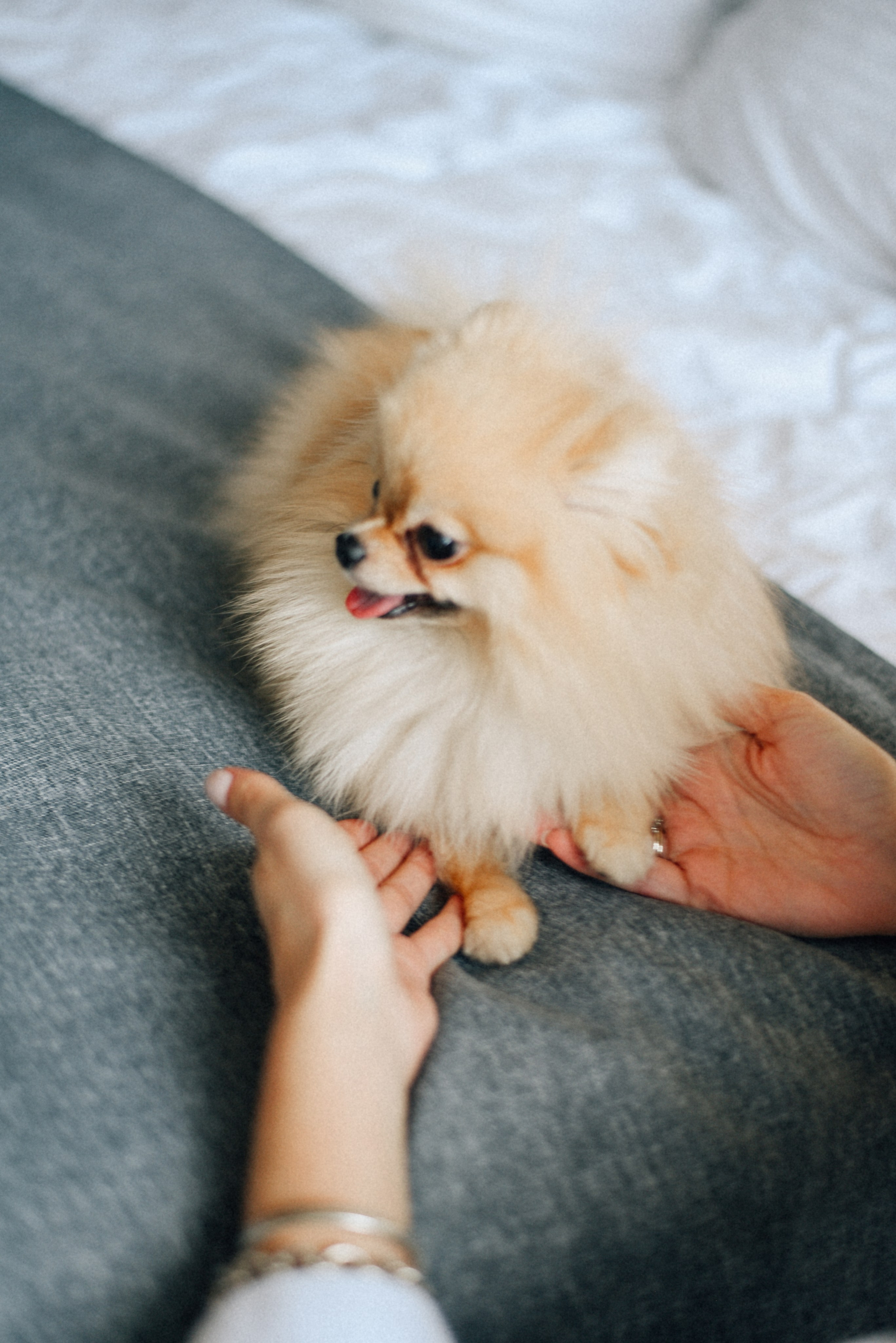 ARBAT HOUSE HOTEL. Фотограф Лола Волна, город Москва