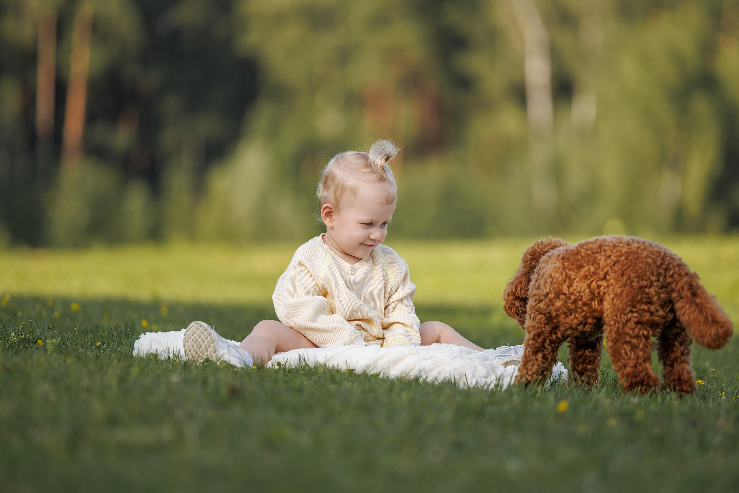 Лариса и Джек. Фотограф Анималист в Москве Анастасия Жучкова