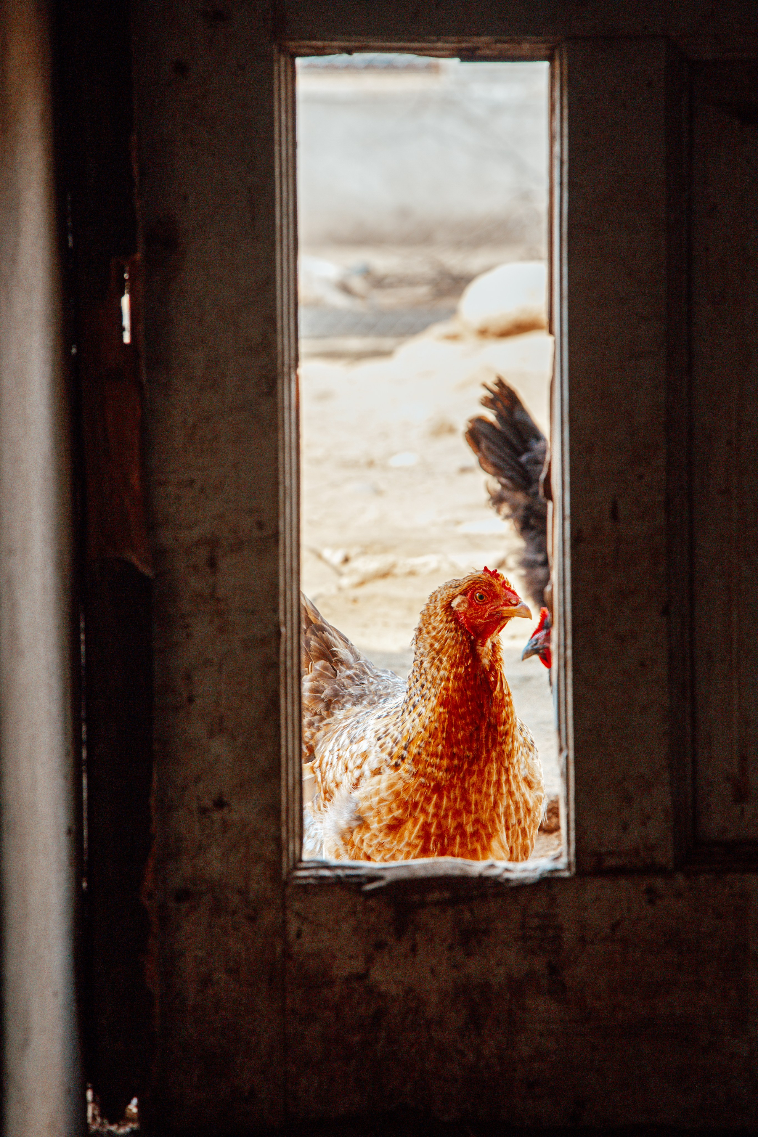 Элла Ферма. Юлия Космо — фуд-фотограф, предметный стилист, Москва