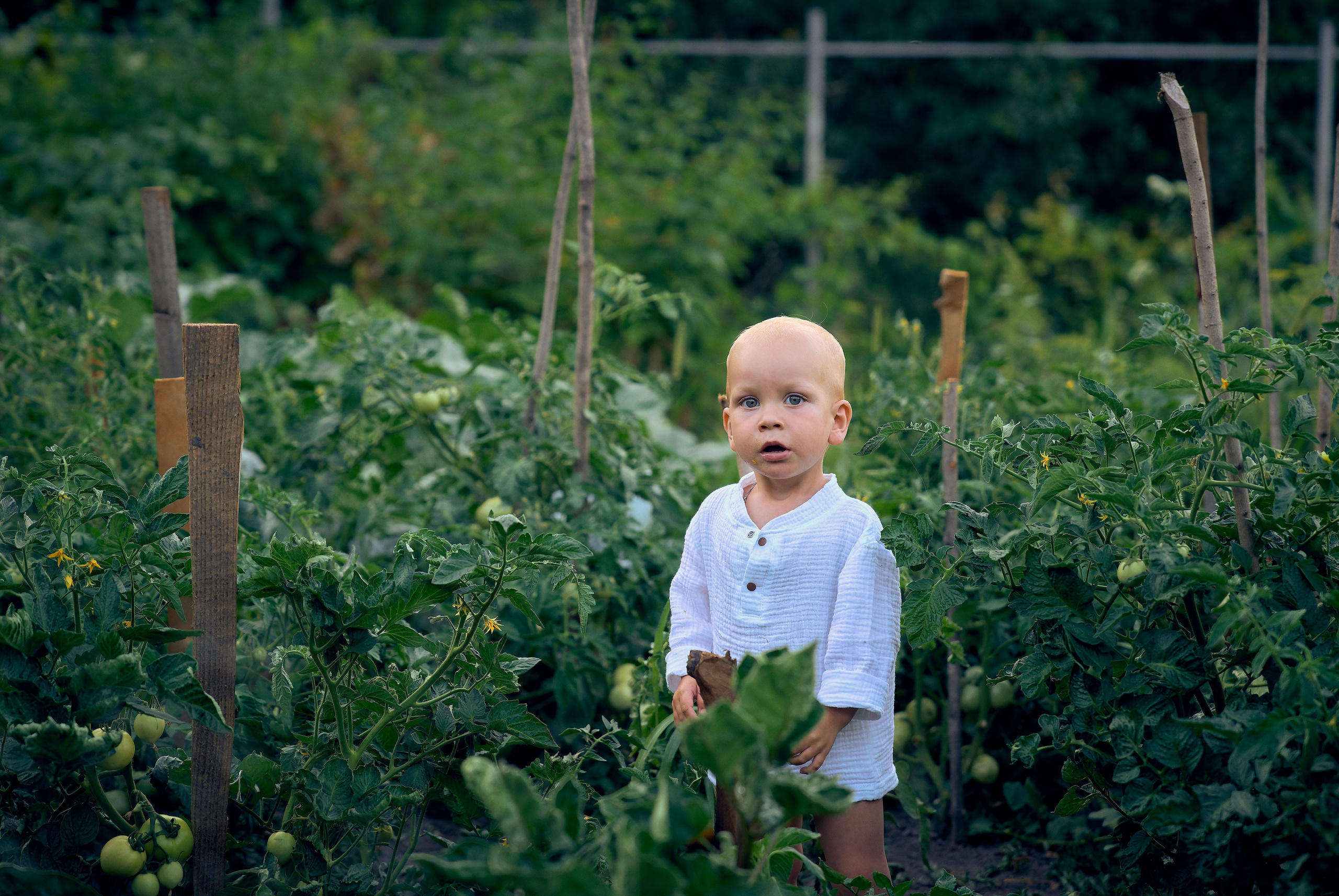Семейный подряд. Фотограф