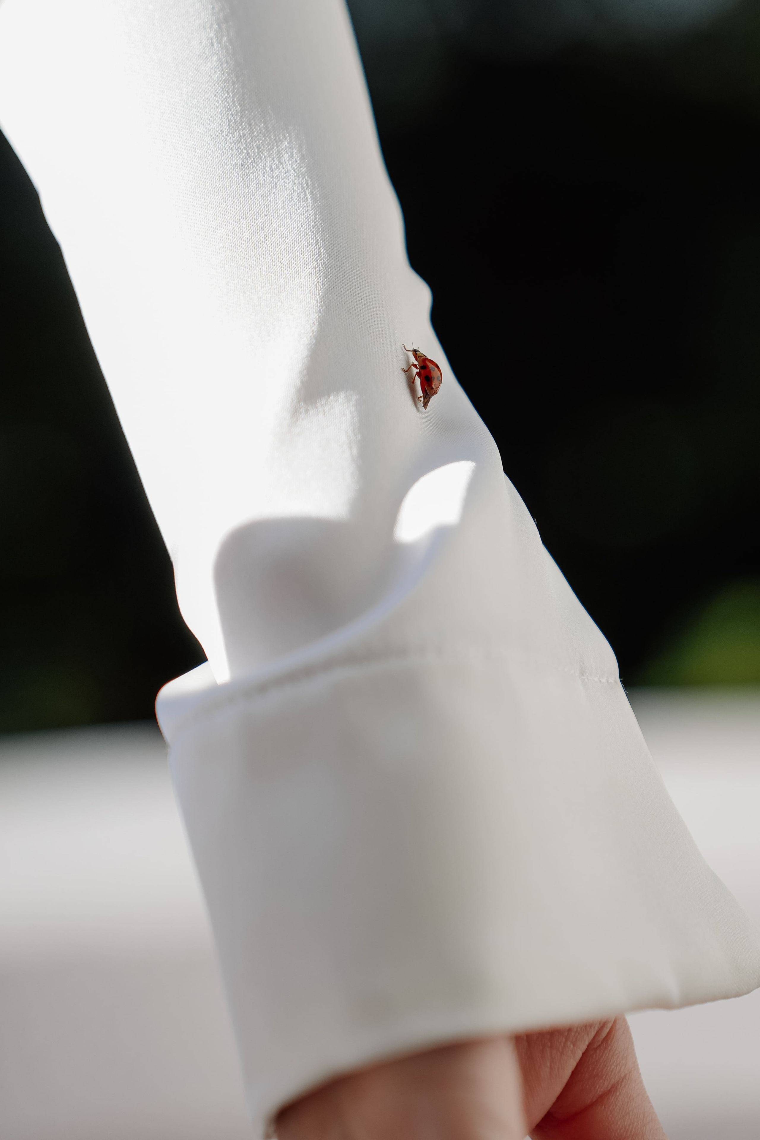 Old House. Олег и Ульяна. Свадебный фотограф и видеограф в Ростове-на-Дону Виталий Величко