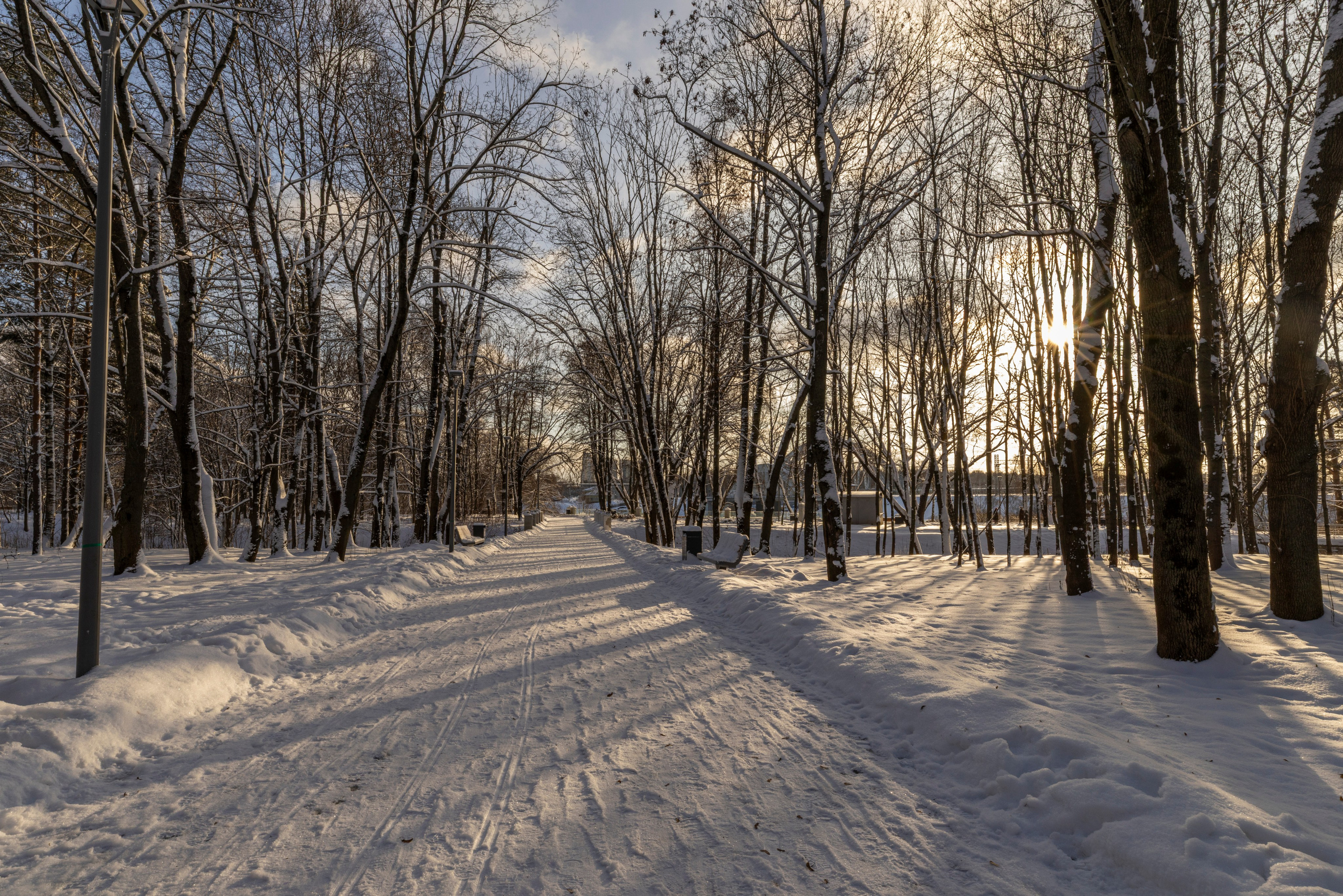 Про жизнь. Фотограф Сергей Ловкий