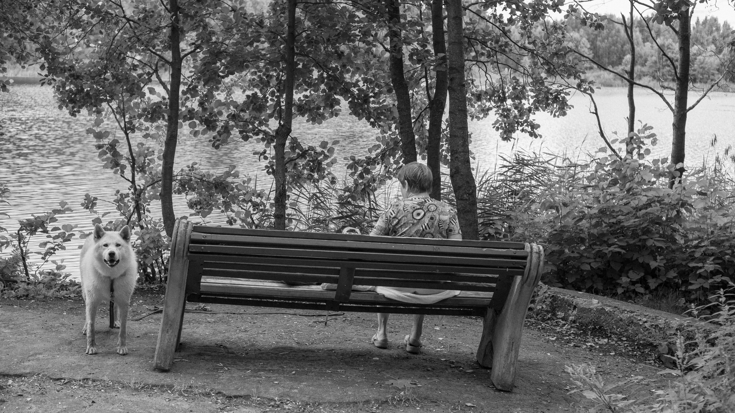 Андрей Корепов. Фотограф в Санкт-Петербурге