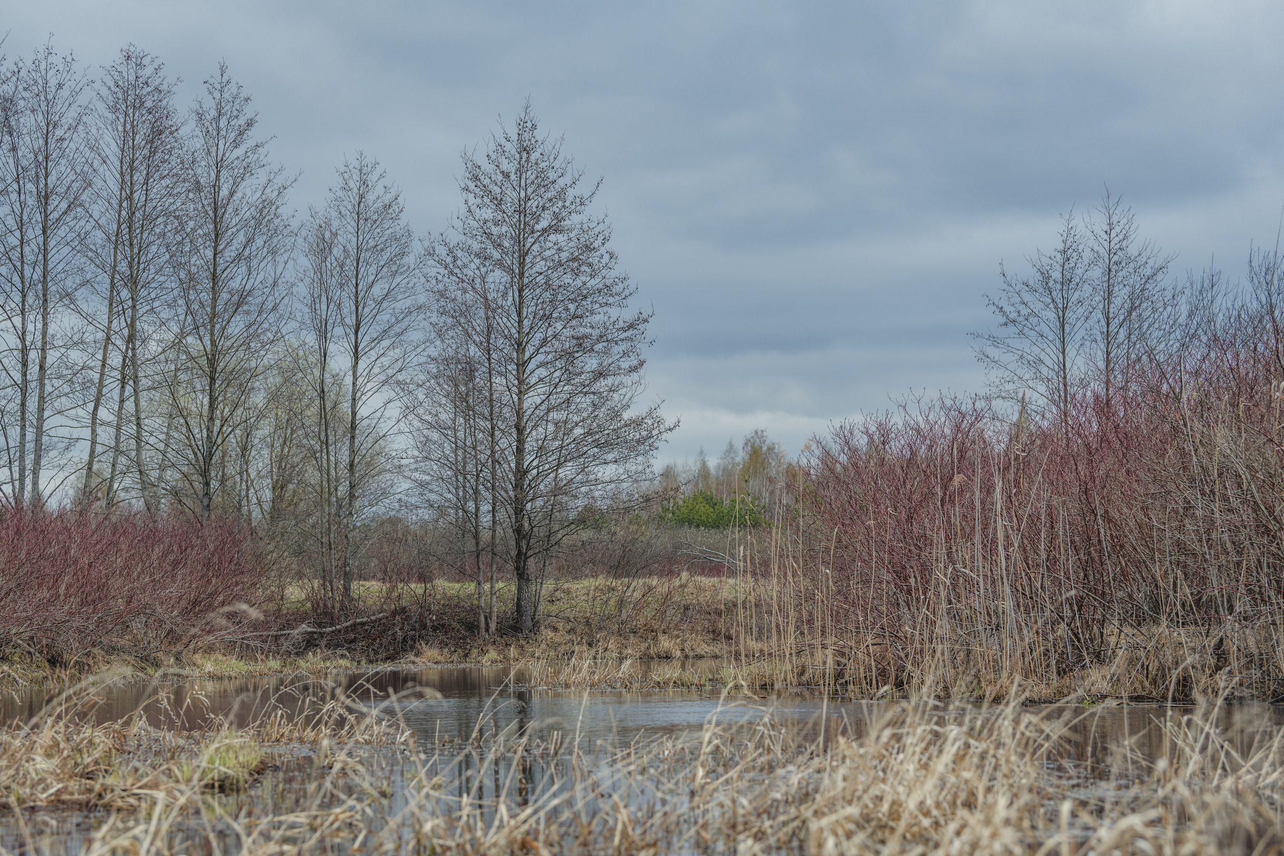 Разведка нового маршрута. Репортажный фотограф Владимир Беляй