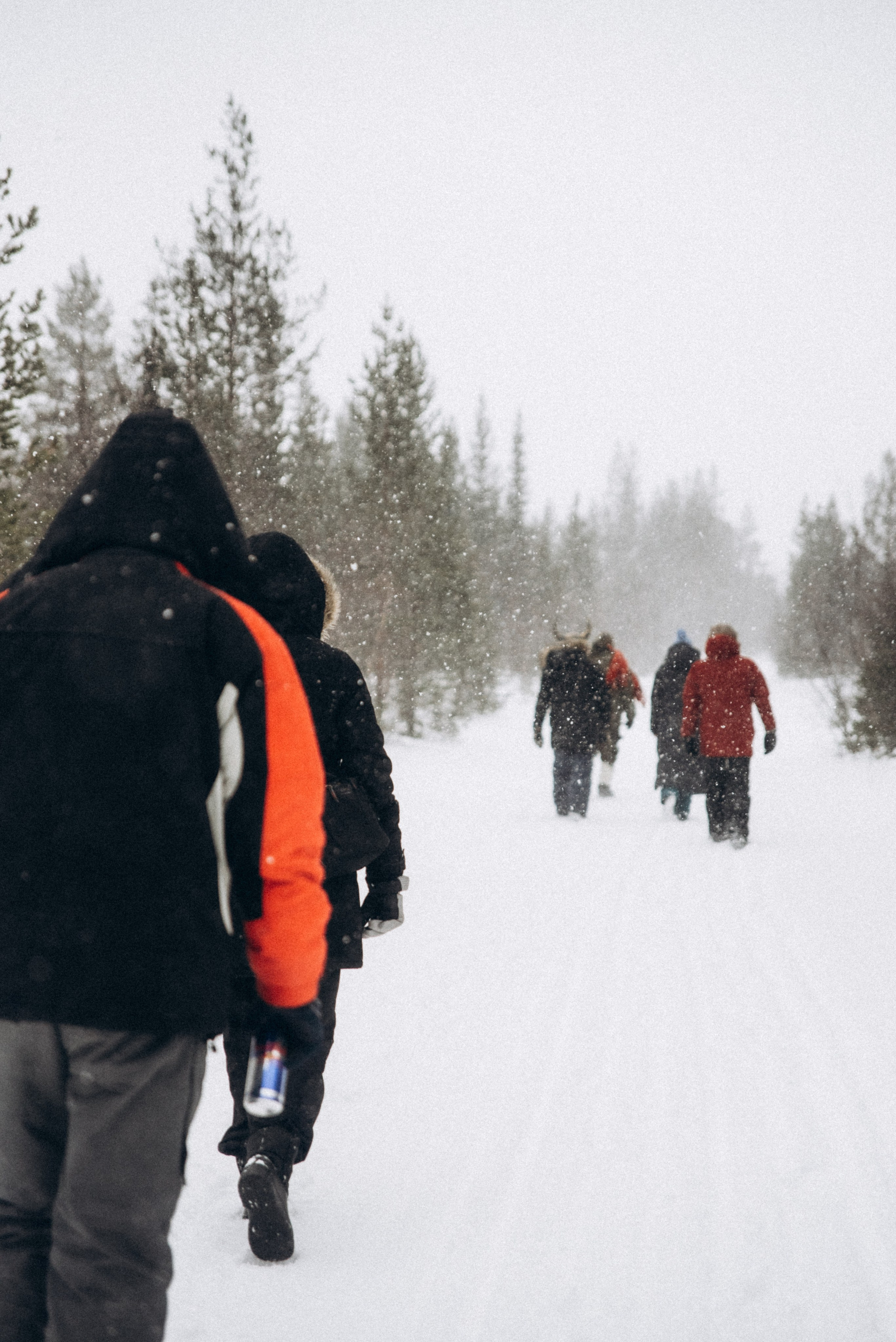 Териберка, Мурманск, Россия 🇷🇺. Anita_photo