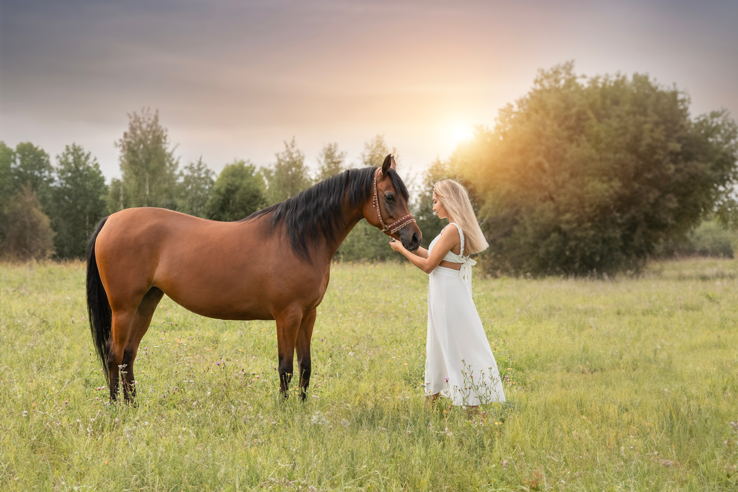Фотосъёмка лошадей. Семейный и анималист фотограф в Переславле Анастасия Гусева