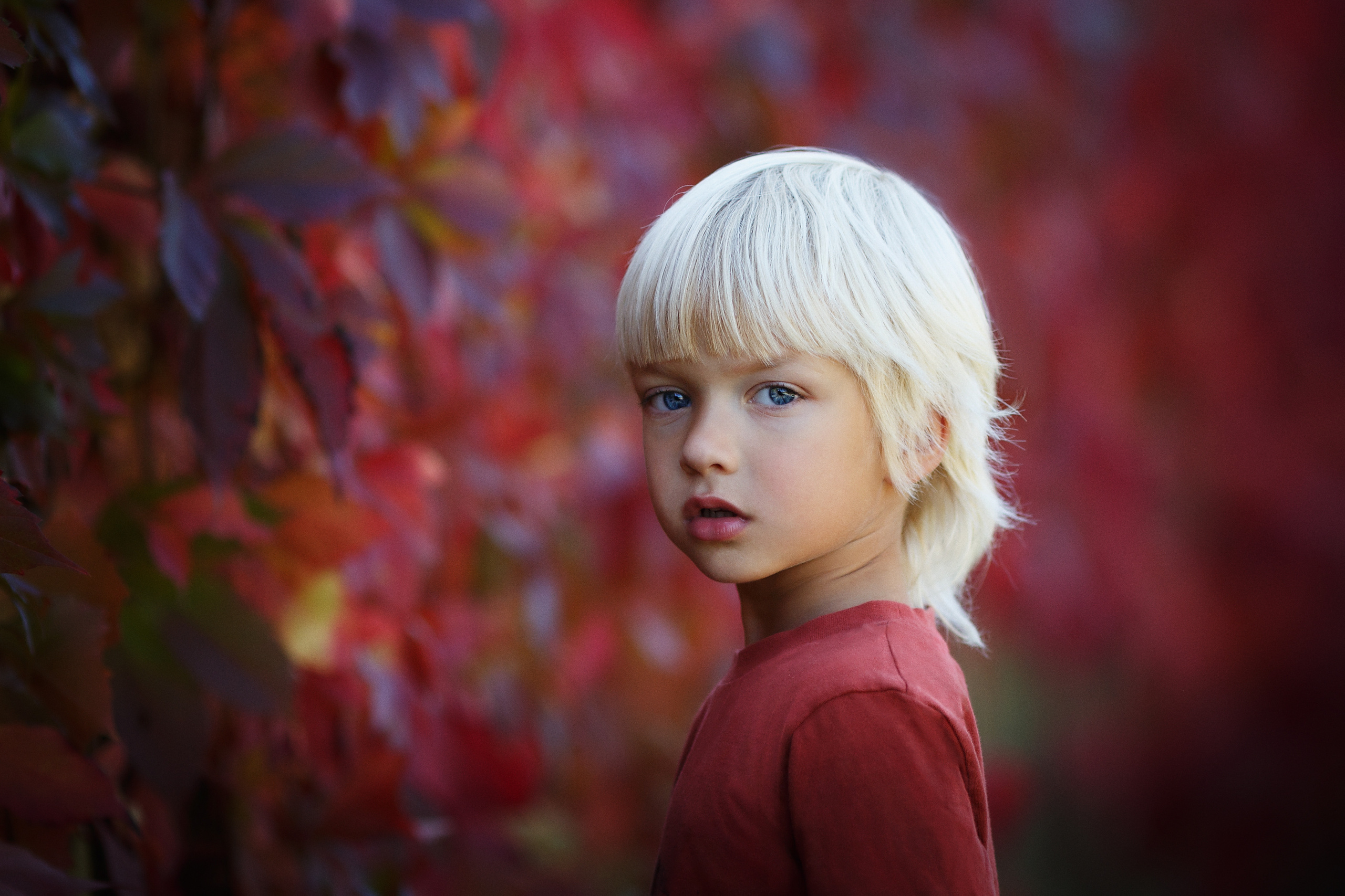 Осенняя семейная фотосессия от Оксаны Ведмеденко