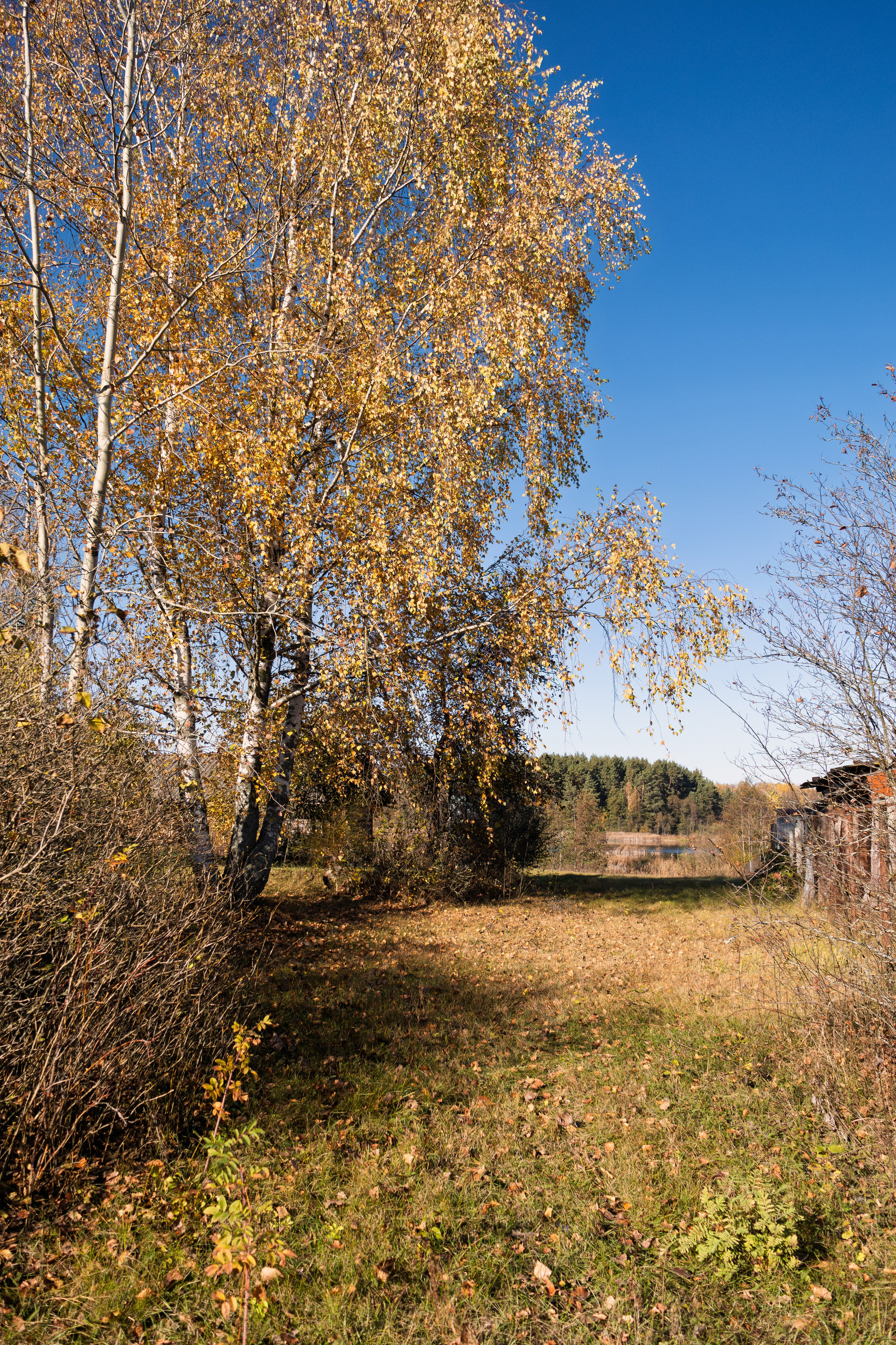 Голубые озера, Псковская область. Октябрь 2024. Фотограф Никифоров-Гордеев Сергей. Москва и МО