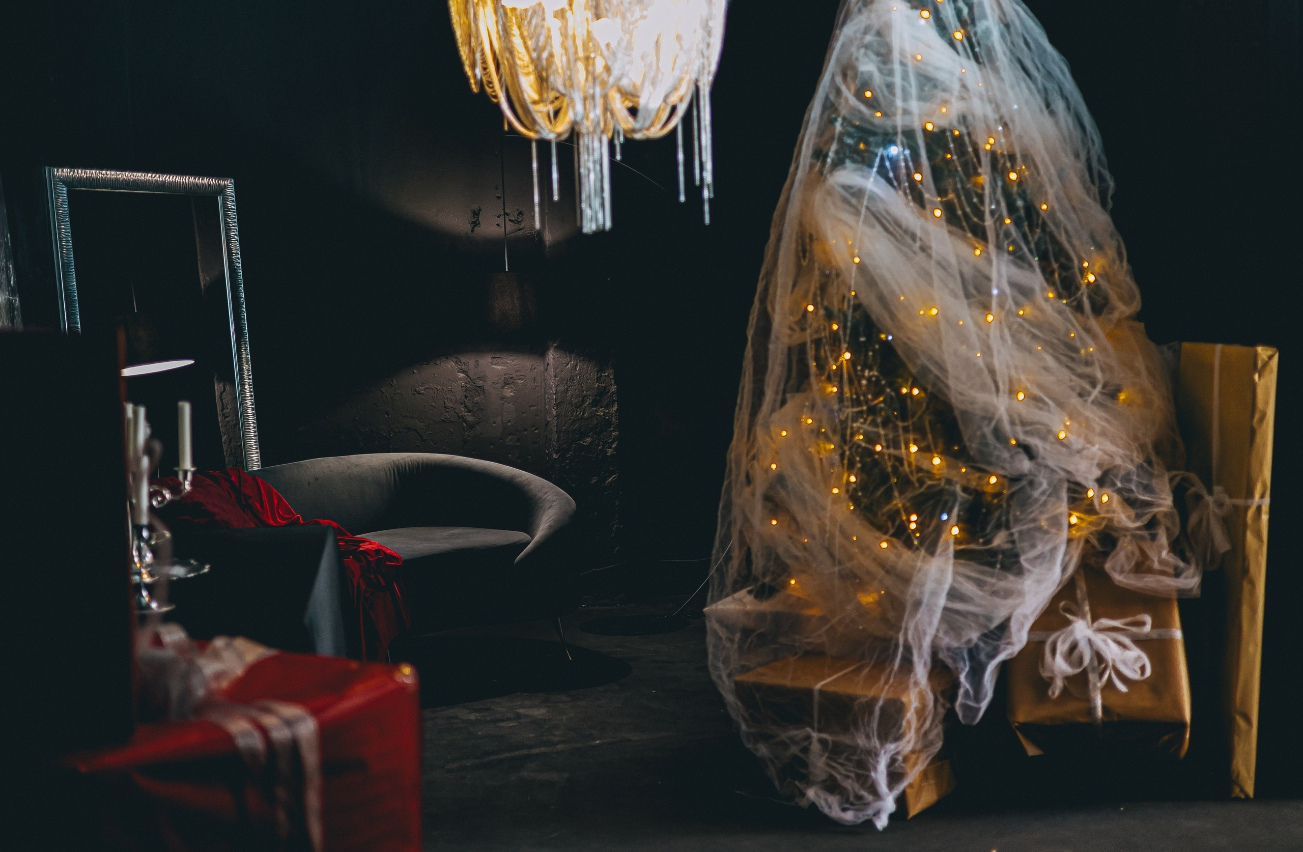 Новогодняя фотосессия в Туле. Портретный, семейный, свадебный фотограф. Бизнес, контент съёмка. Тула