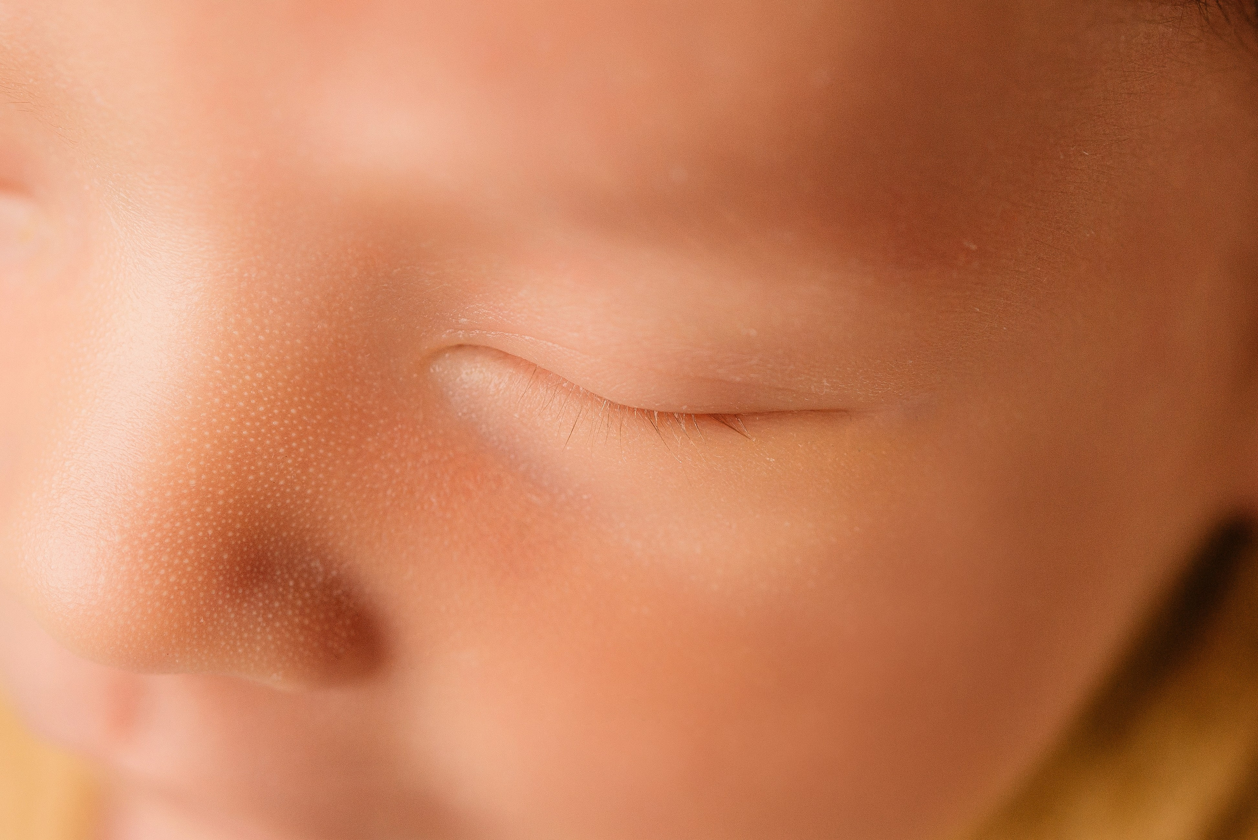 Лев. Фотограф новорожденных Белгород