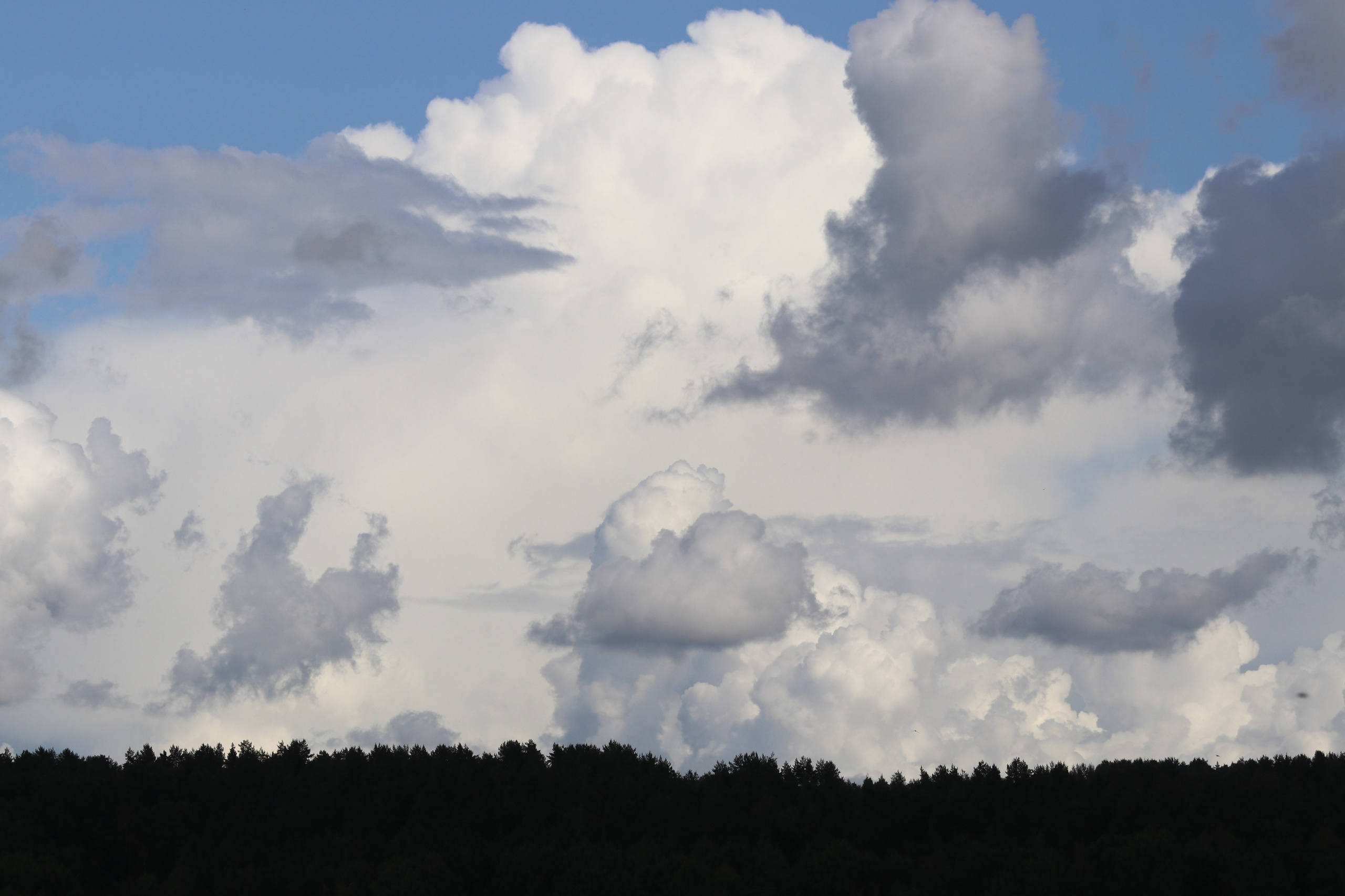 Любимое. Фотограф в Санкт-Петербурге Анна Сосновская