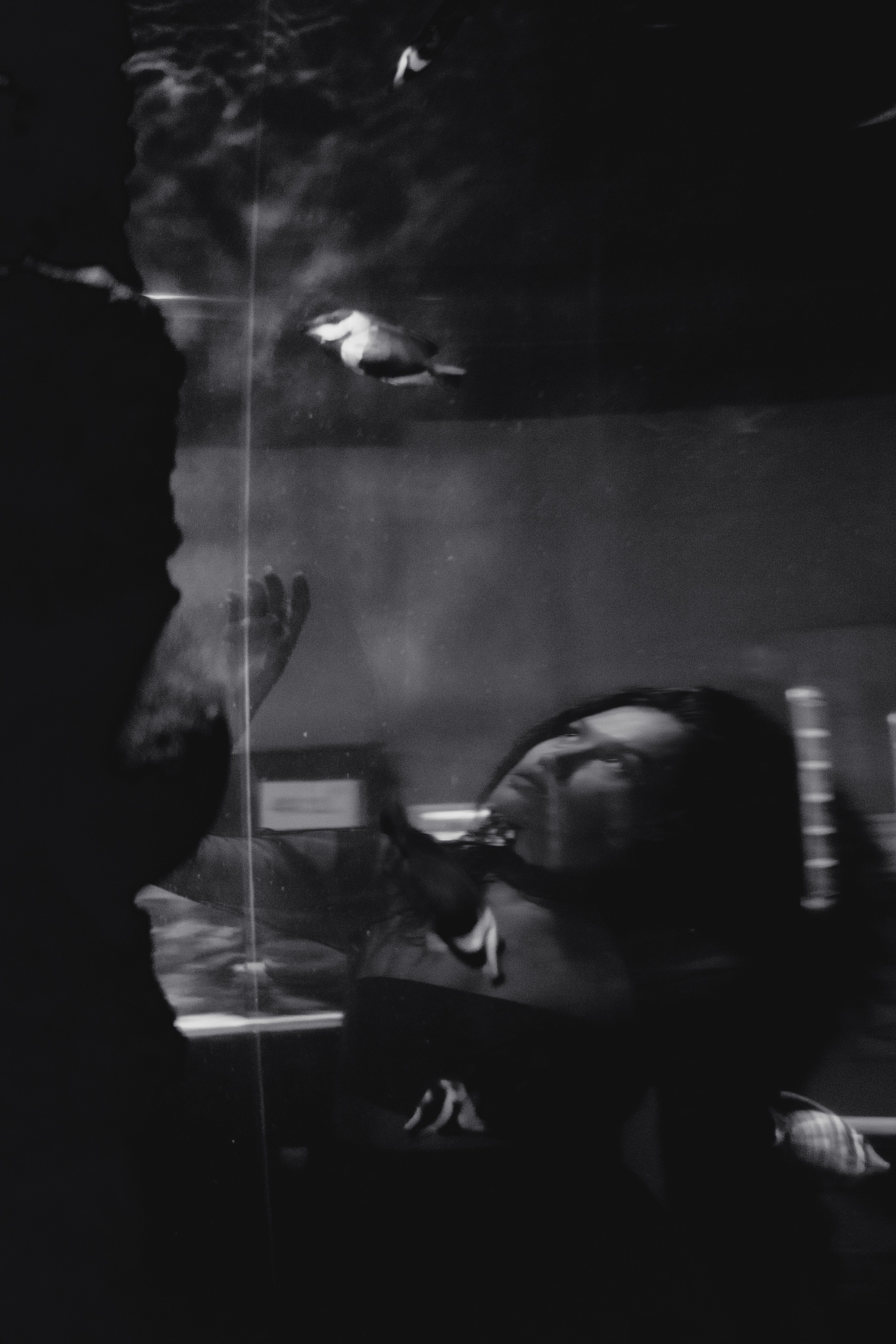 Julia. Фотограф в Санкт-Петербурге Бирюлев Илья