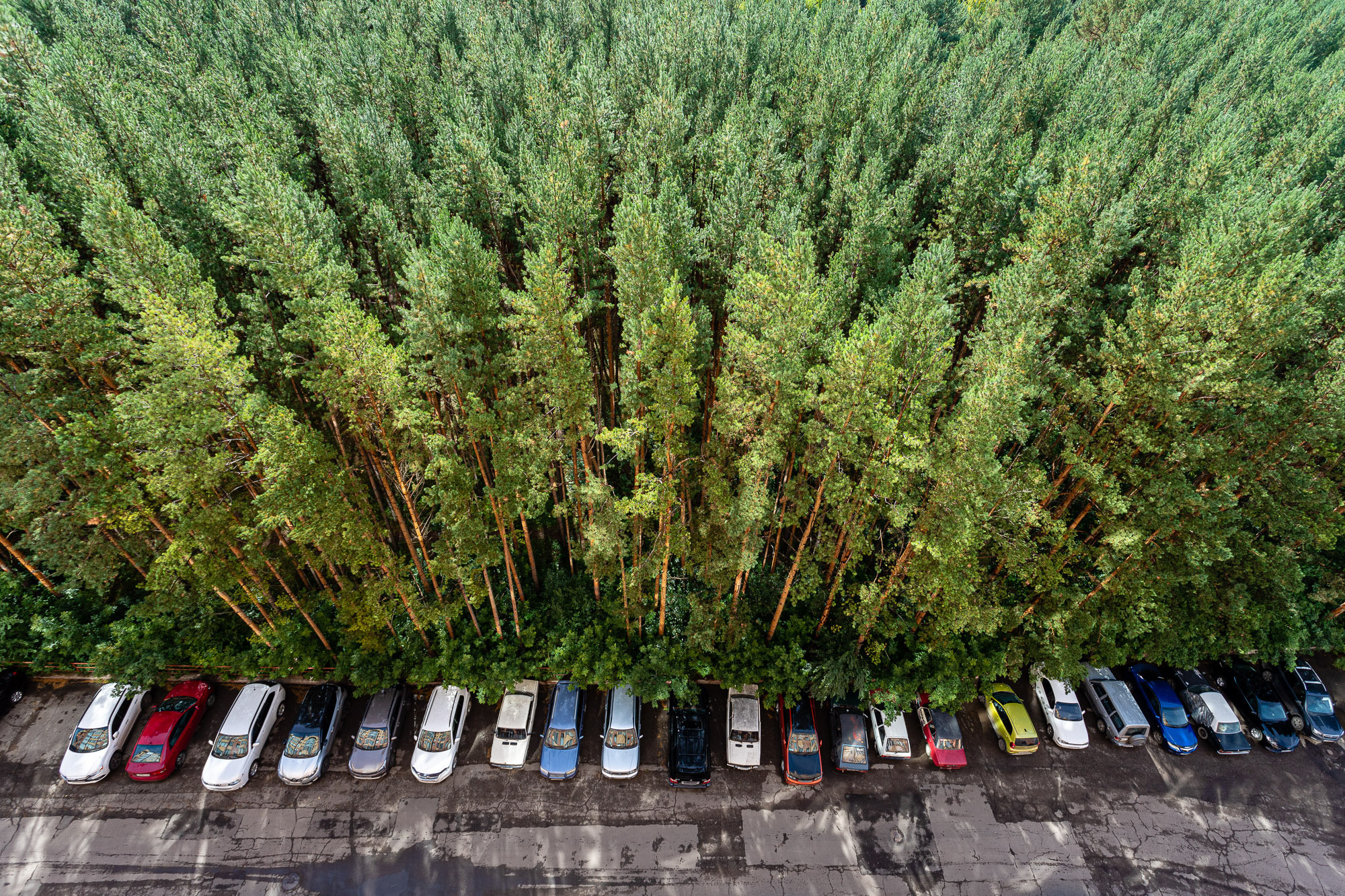 Фотосъёмка квартиры для агентства недвижимости. Интерьерный фотограф в Красноярске Дмитрий Куценко