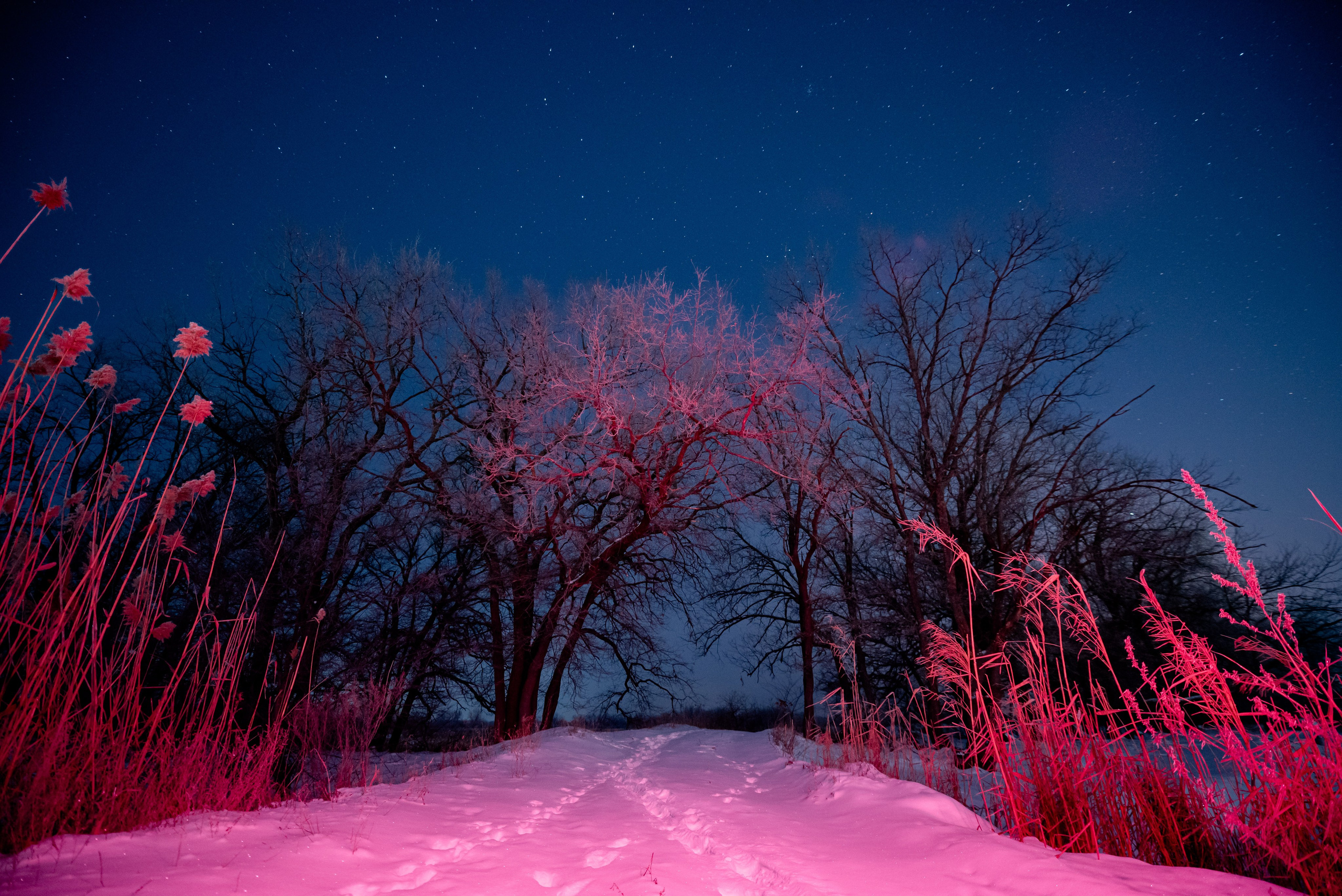Ночь зимой. Фотограф в Волгограде и Волжском Александр Горбань
