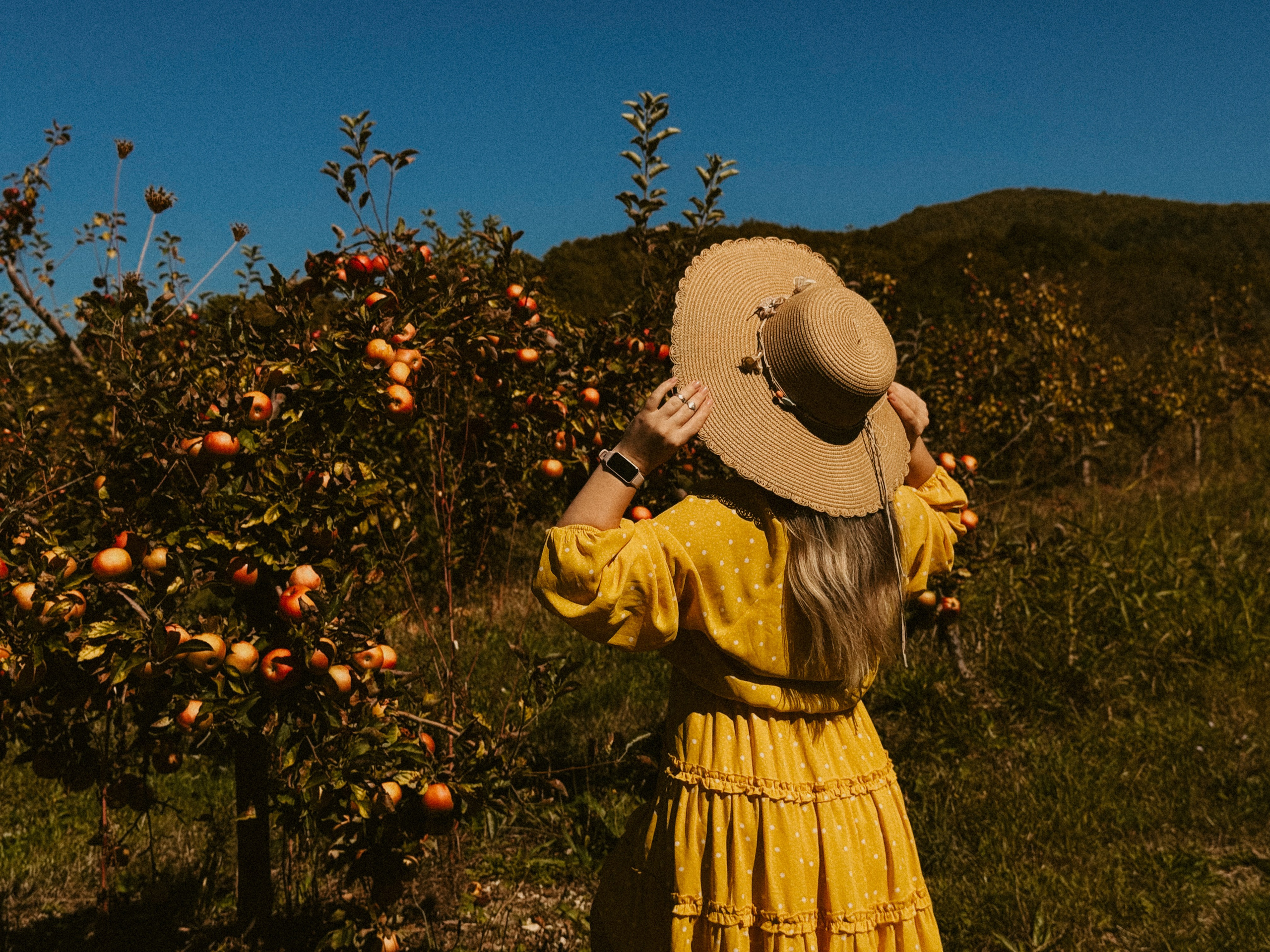 Ксюша Яблоки Сад. Inga Simonova | Семейный и детский фотограф у моря