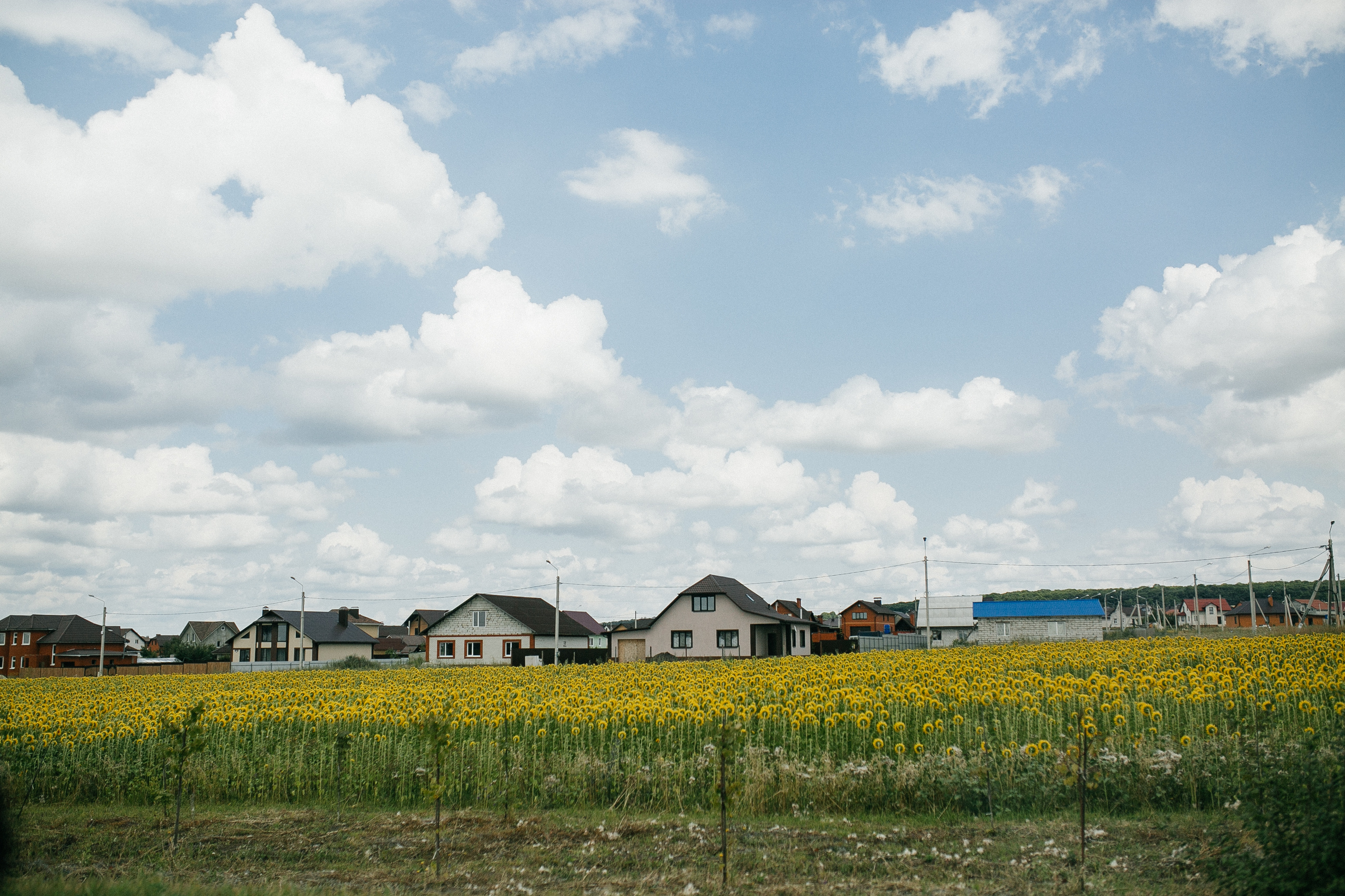 Иван и Карина. Катя Завьялова