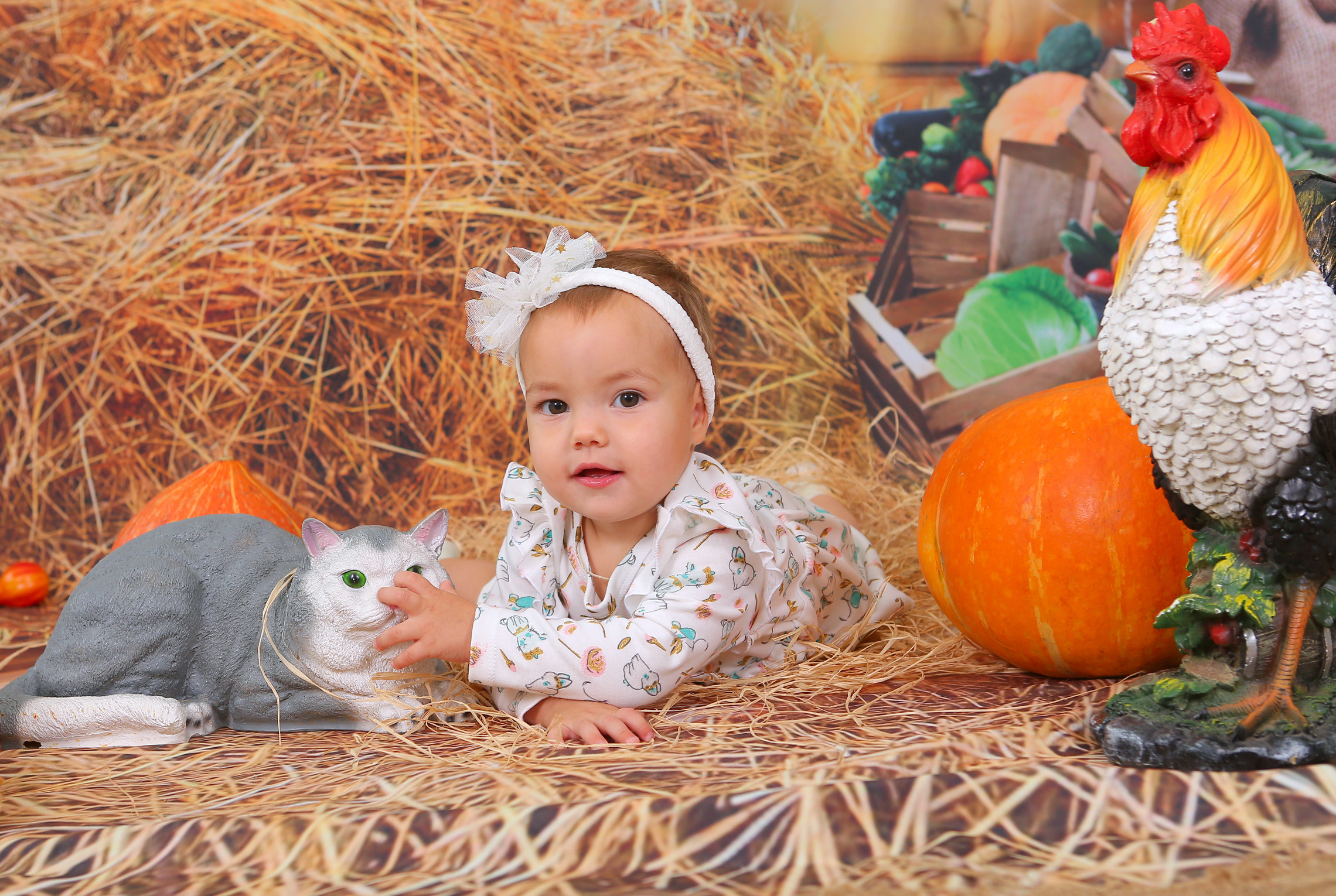 Удачный урожай. Студия детской и семейной фотографии 12кадров