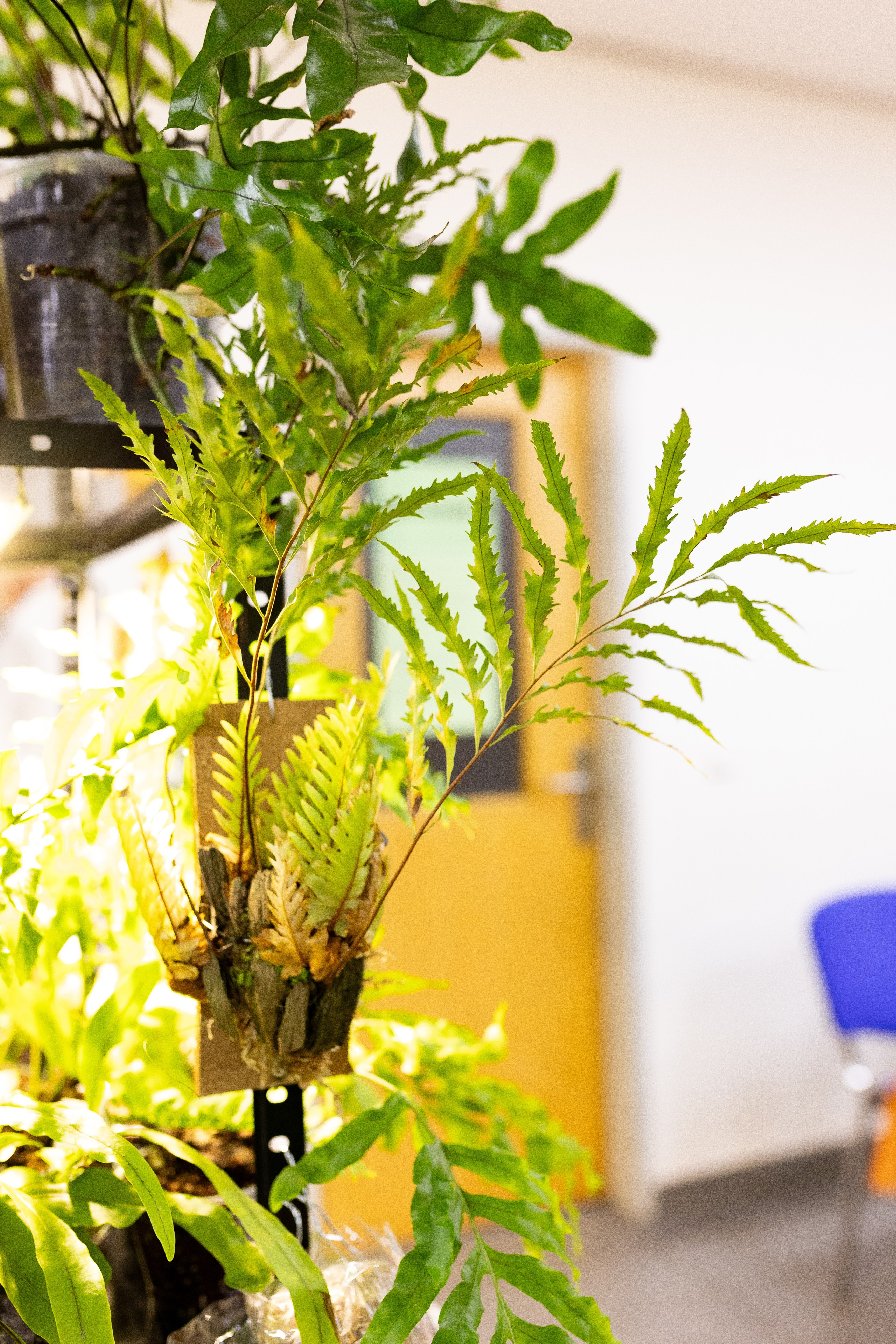 Монстериум 11–12 октября. Александра Куликова фотограф, Москва