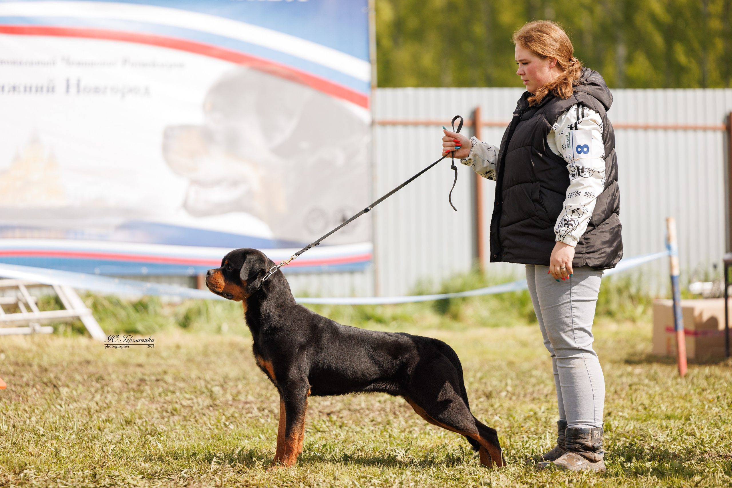 Нижний Новгород 2хмоно ротвейлеров 10-11.05.2025. Фотограф-анималист Юлия Германика