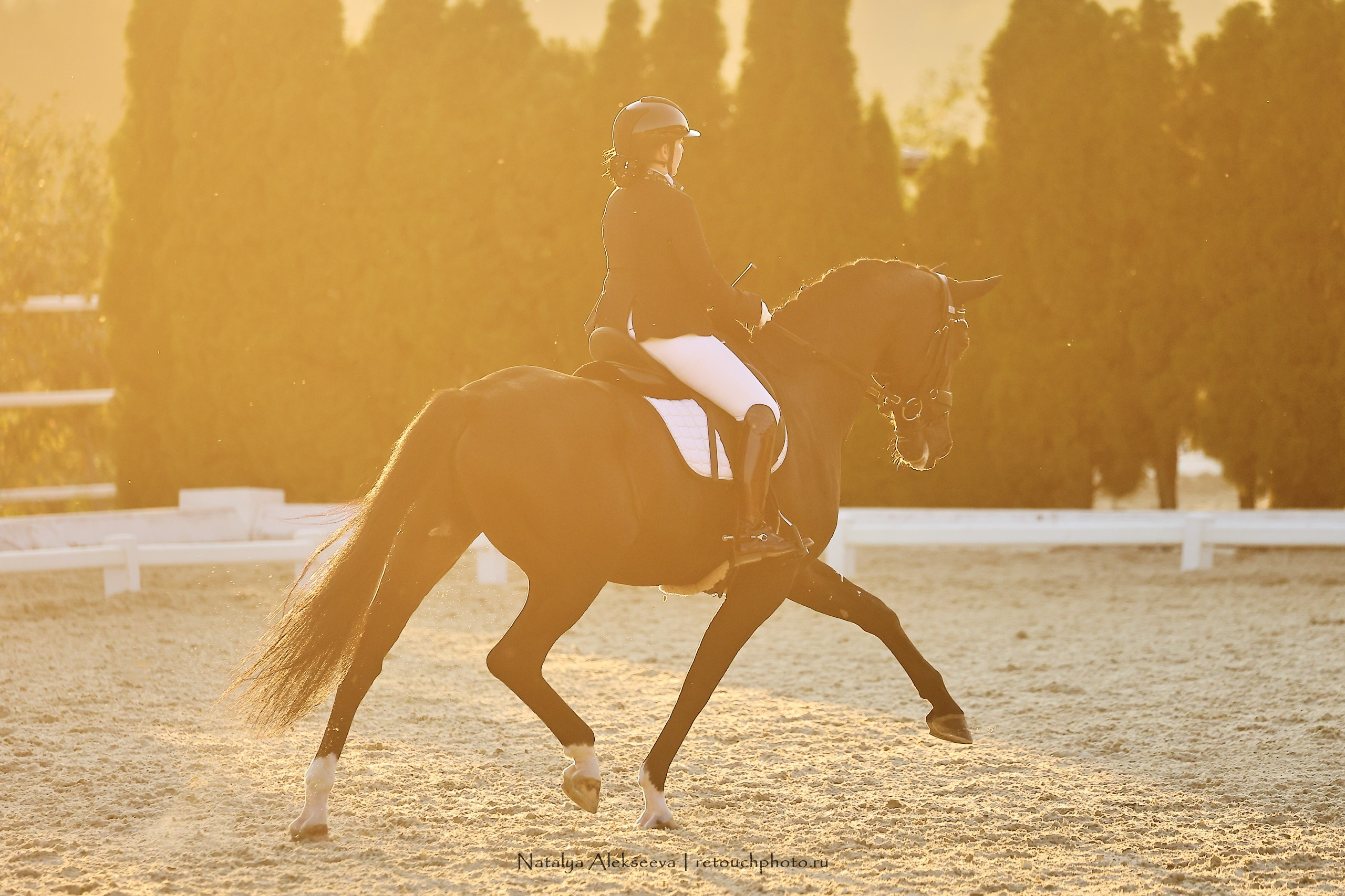 2023.09.22-24 Чемпионат MM Eurasia по средним ездам, Maxima Stables | 09'2023. Репортажный фотограф и ретушер в Москве Наталья Алексеева