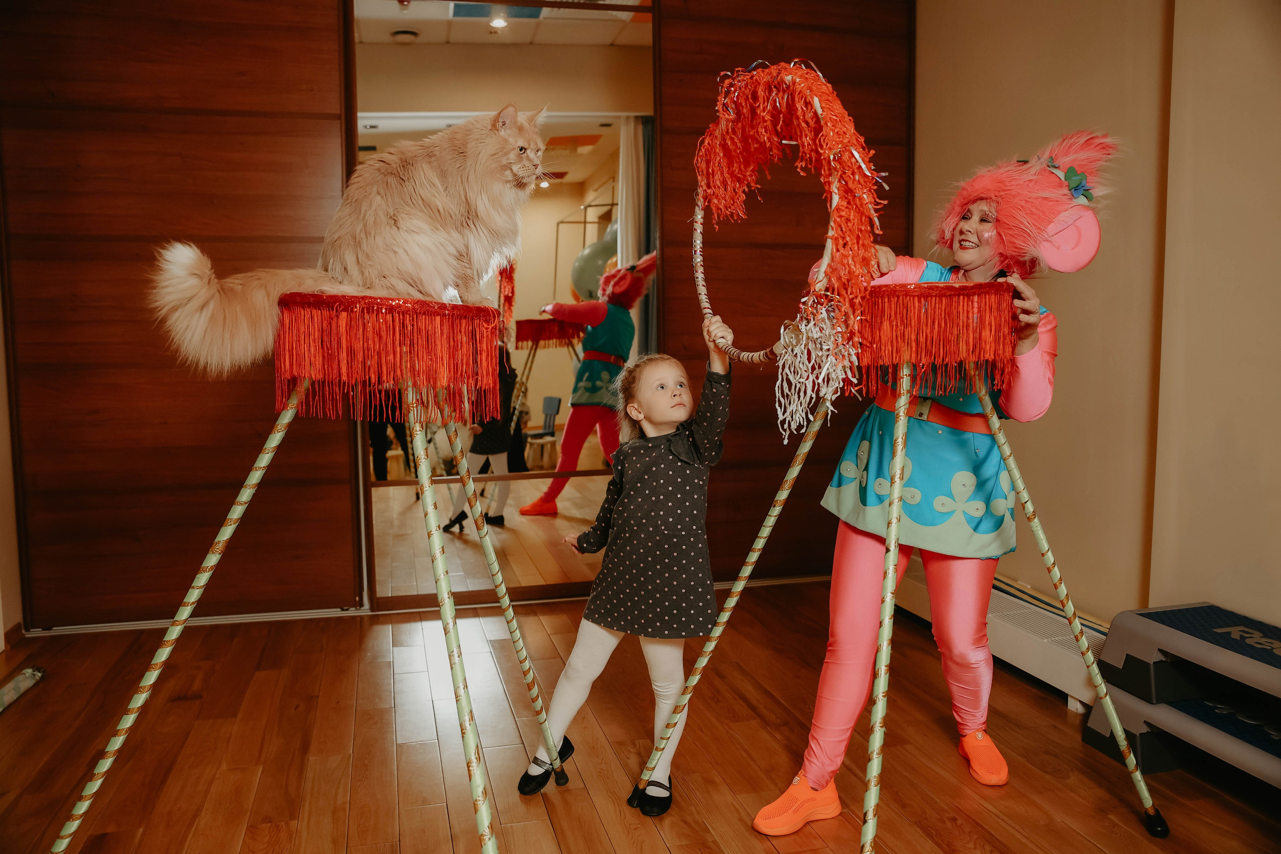 Белле 5 лет. Фотограф в Москве и любой точке земного шара Алёна Вялова (Чулкова)