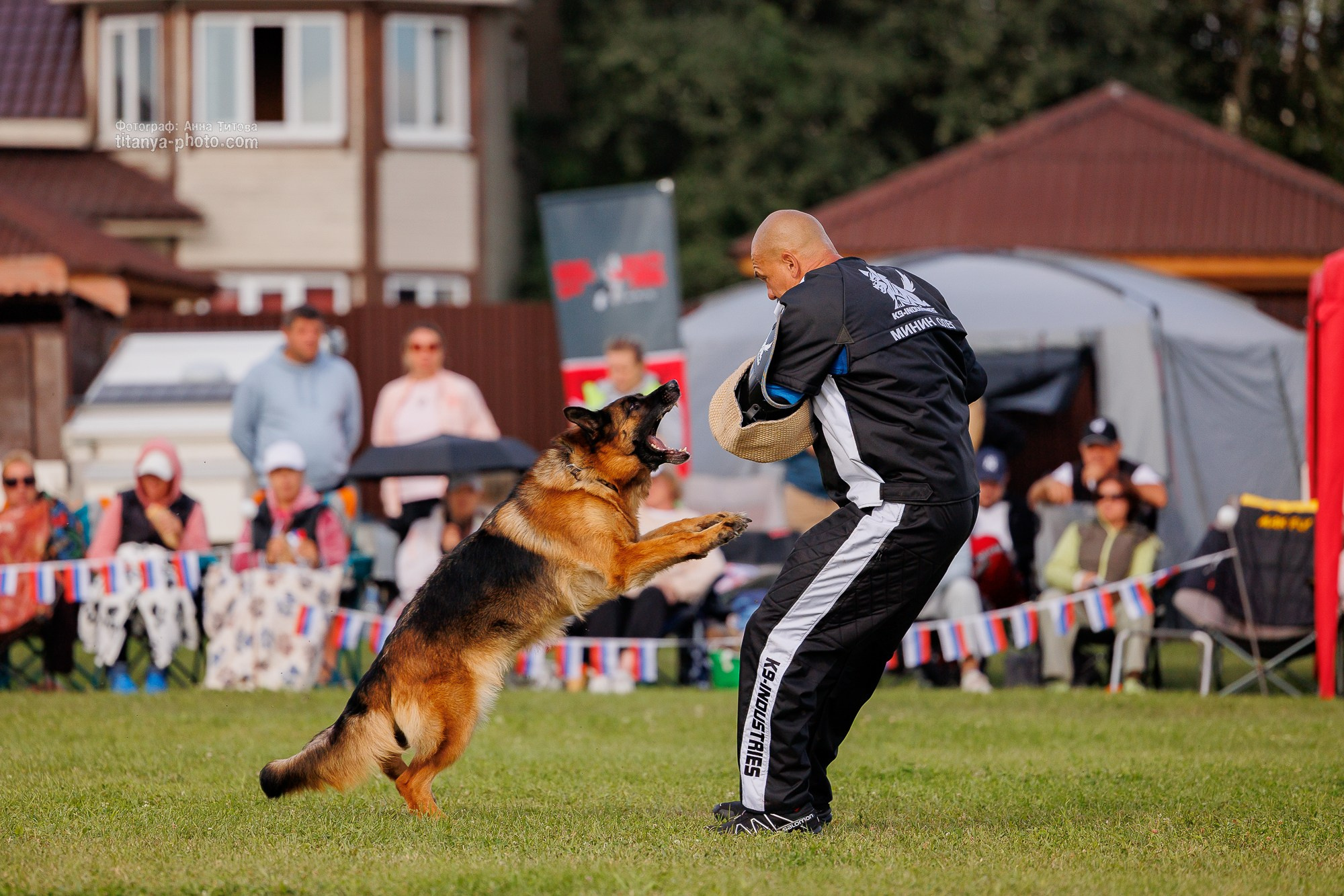 Немецкие овчарки: фото из рингов и вне ринга, мутпроба (фотографии с выставок). Фотограф собак, фотограф-анималист Аня Титова (Titanya). Москва