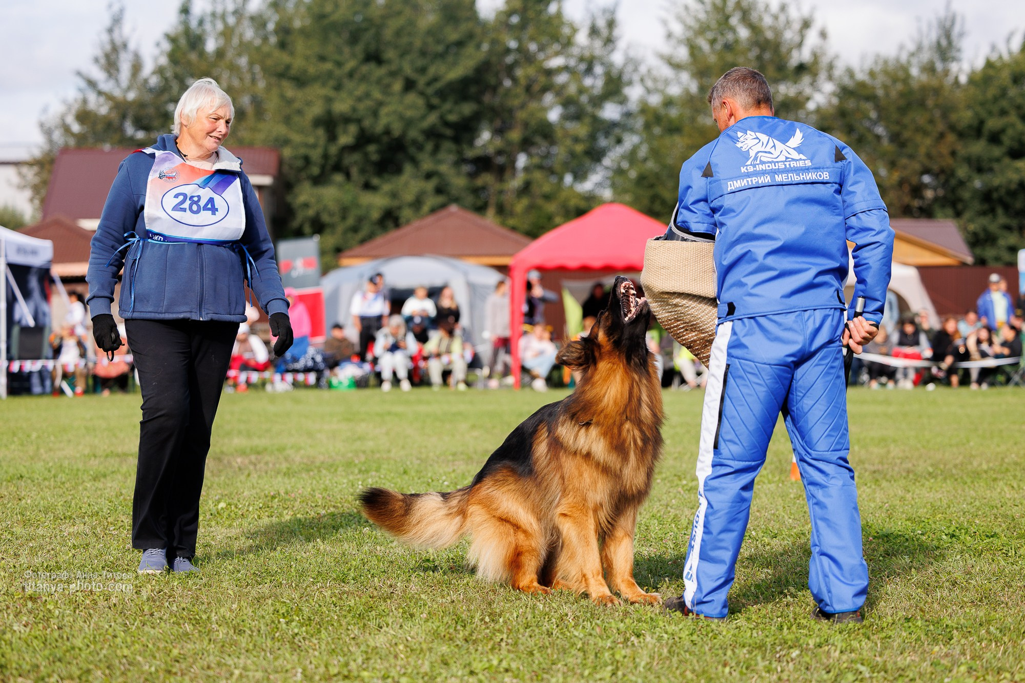 Немецкие овчарки: фото из рингов и вне ринга, мутпроба (фотографии с выставок). Фотограф собак, фотограф-анималист Аня Титова (Titanya). Москва