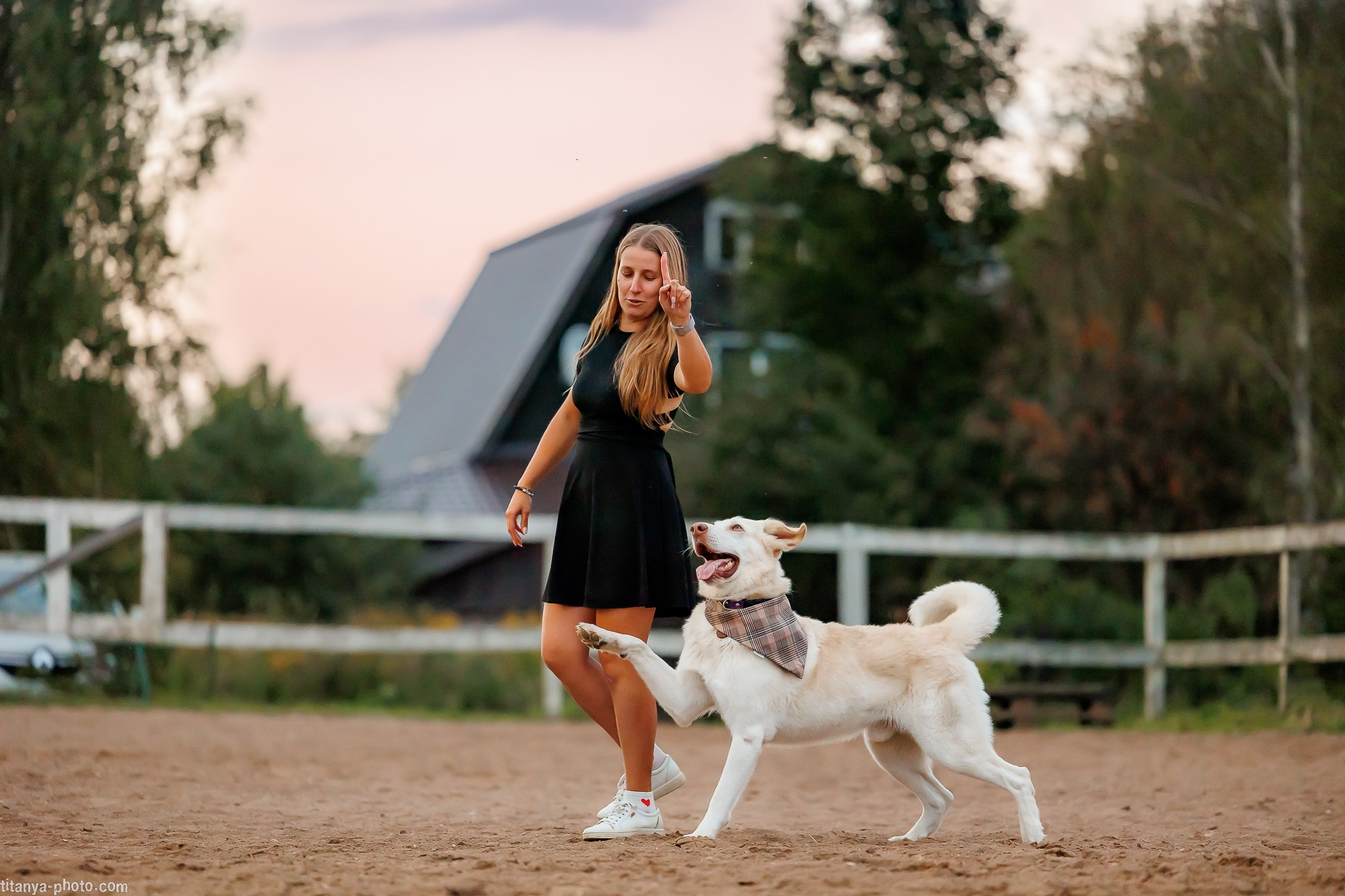 Закатная семейная фотосессия: про Настю и её дружную семью. Фотограф собак, фотограф-анималист Аня Титова (Titanya). Москва
