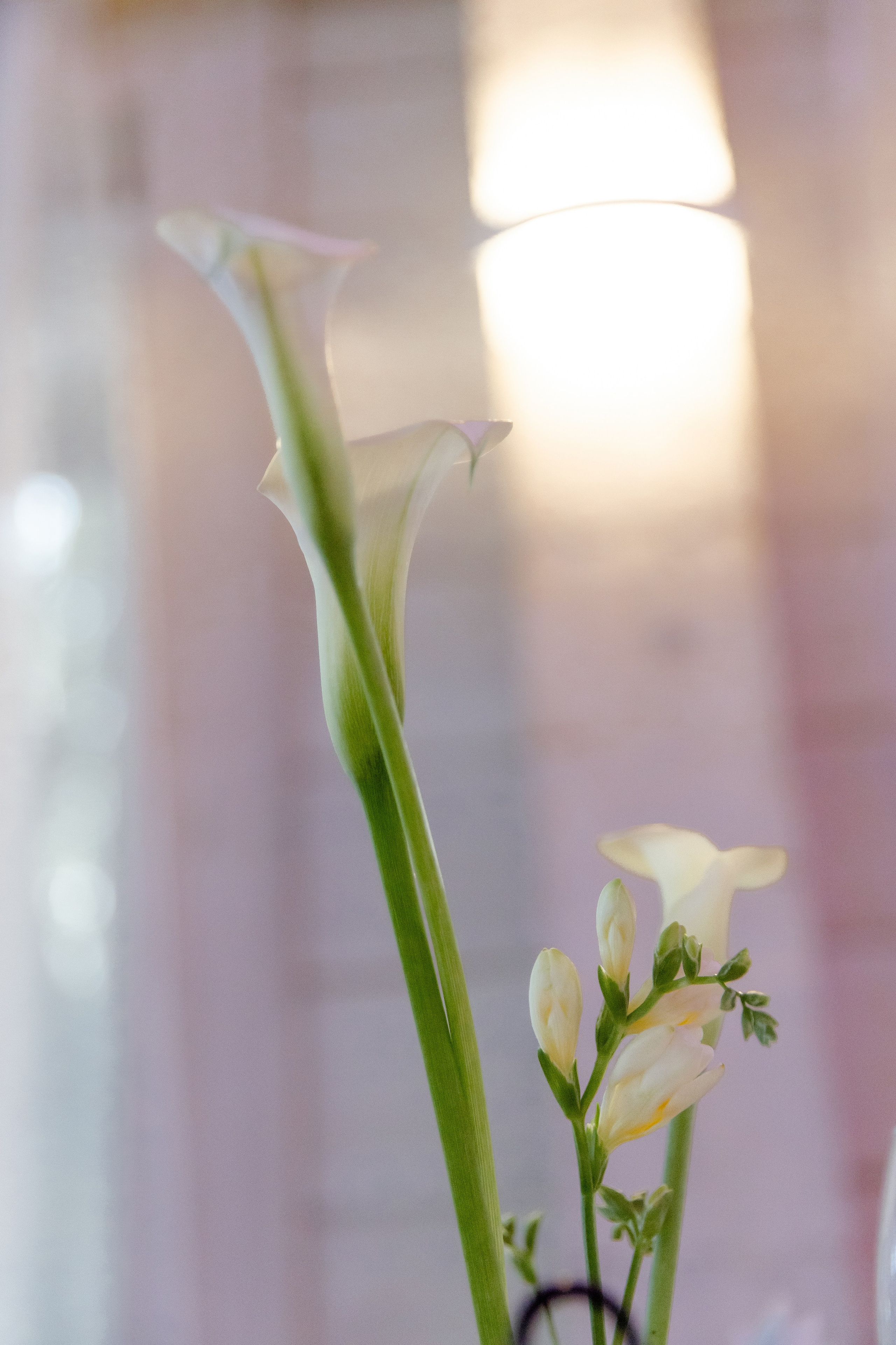 Свадебный день Паши и Насти. Свадебный фотограф Анна Бабахина