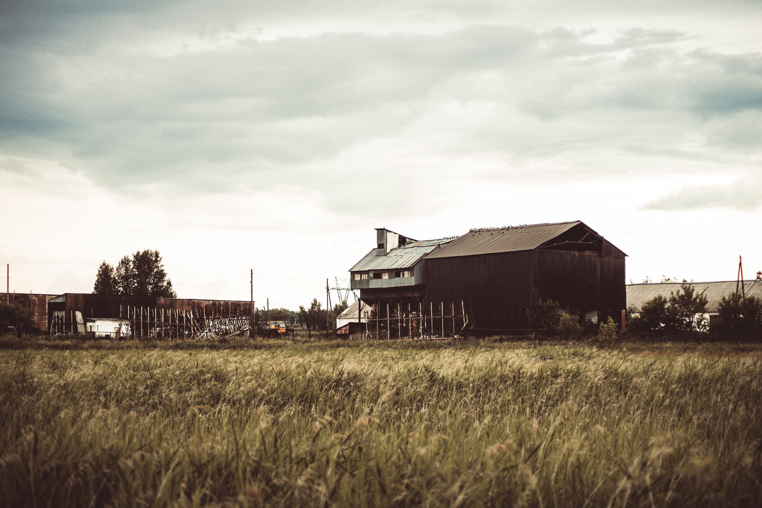 The Barn of Shadows. Whoii art