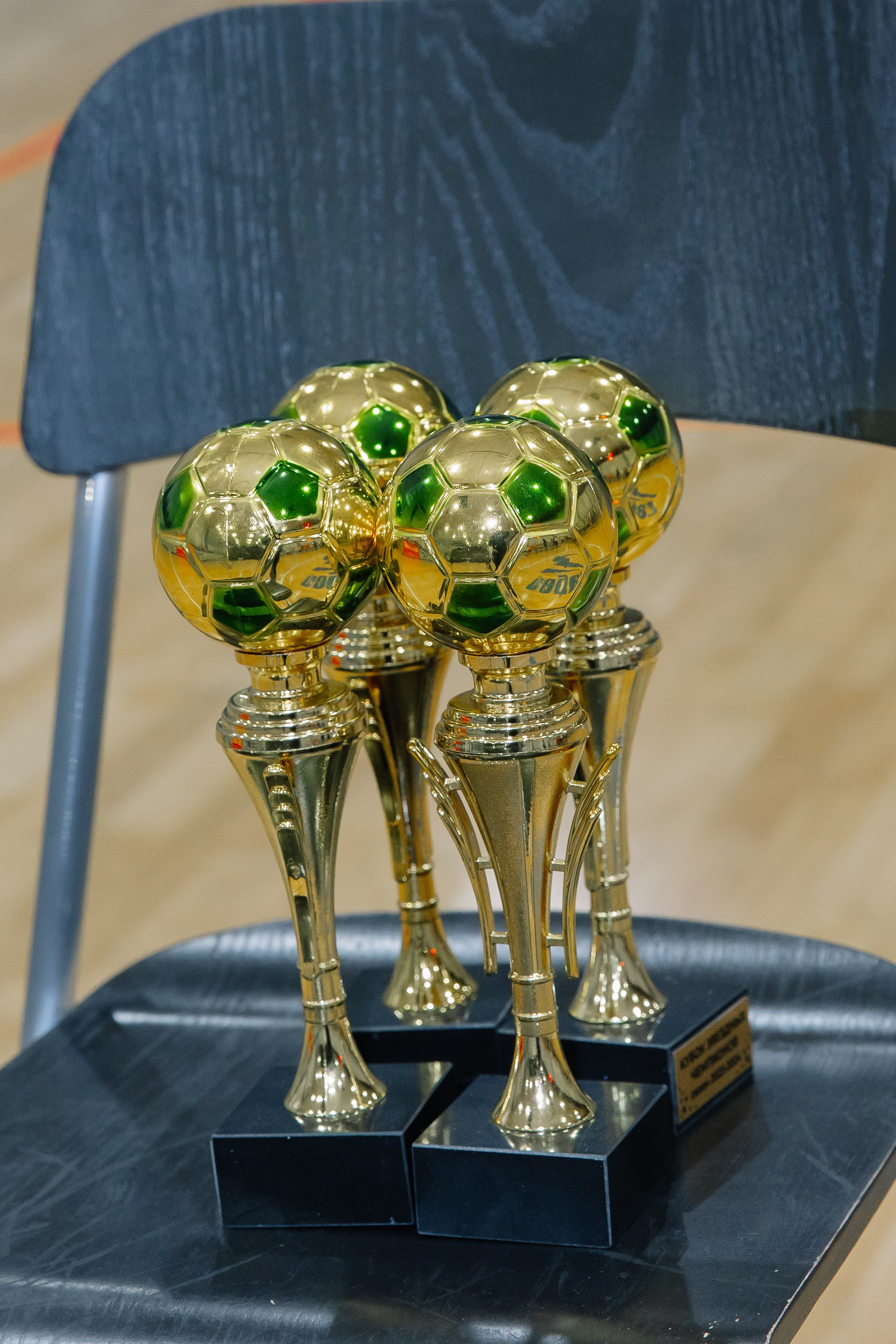 Футбольный турнир детского сада. Свадебный фотограф в Новосибирске Лидия Александровна