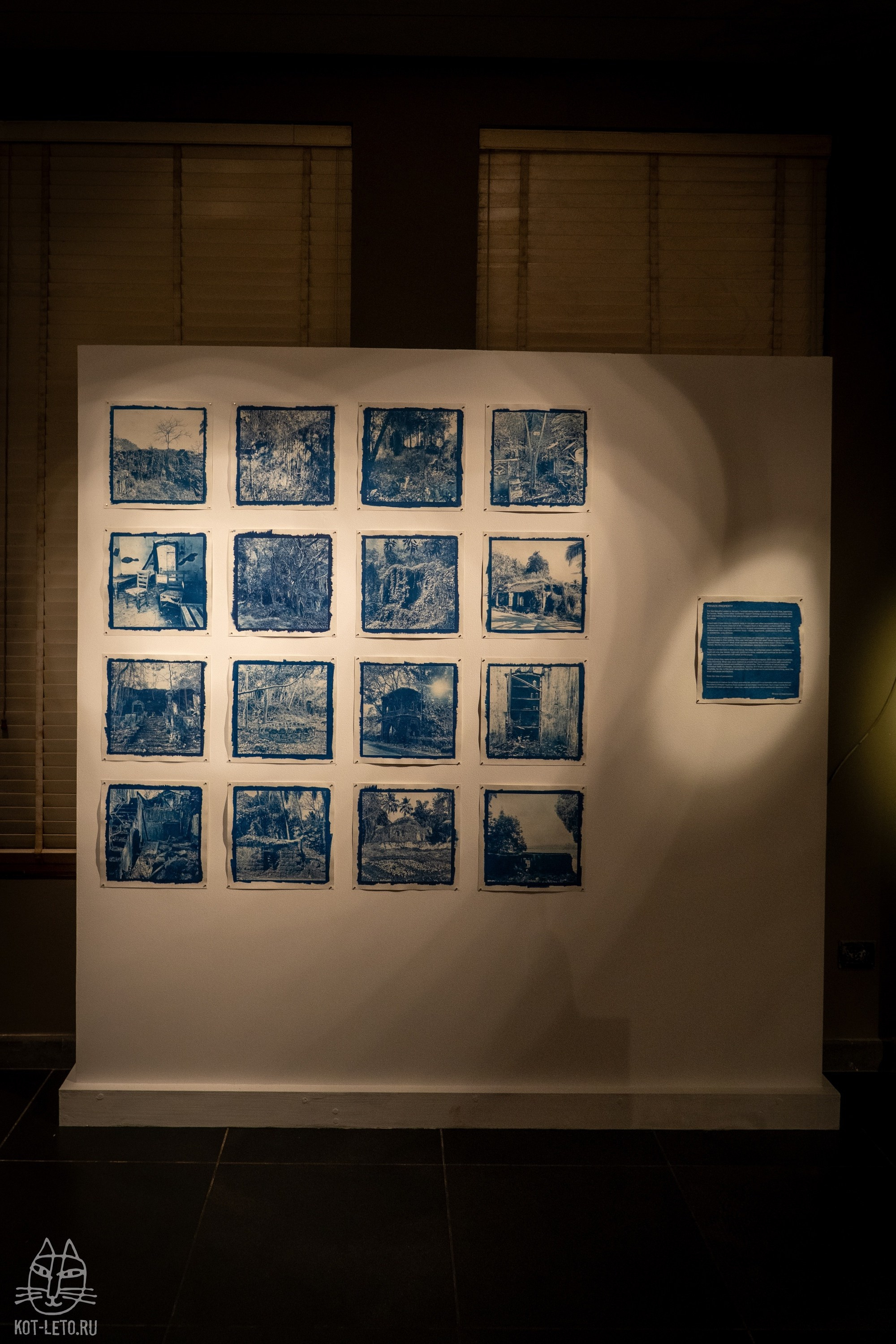 Exhibition BIOPHILIA (Goa). Твой фотограф — Полосатый кот